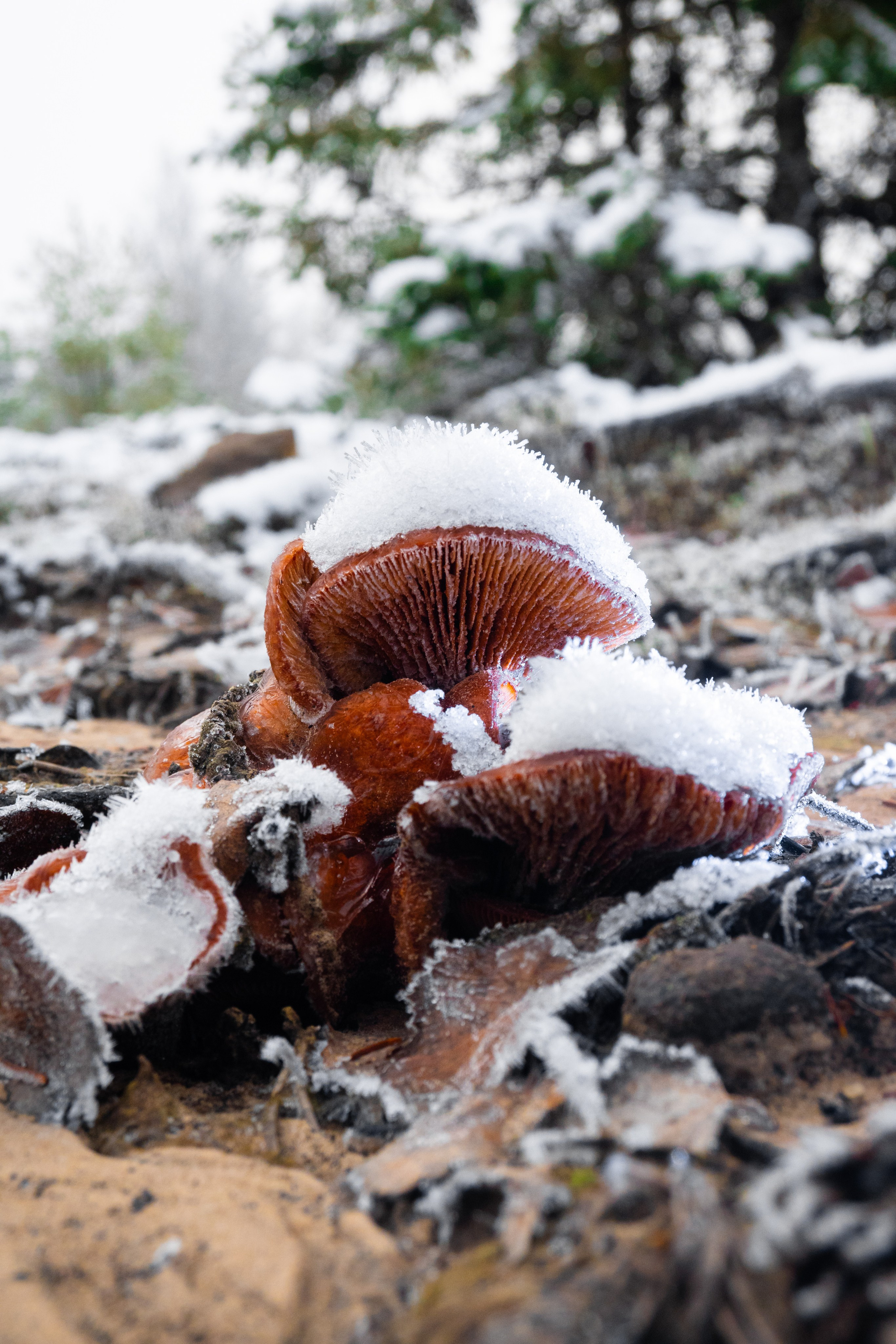 Суворовские карьеры. Фотограф и видеооператор в Туле | Даниил Рыбак