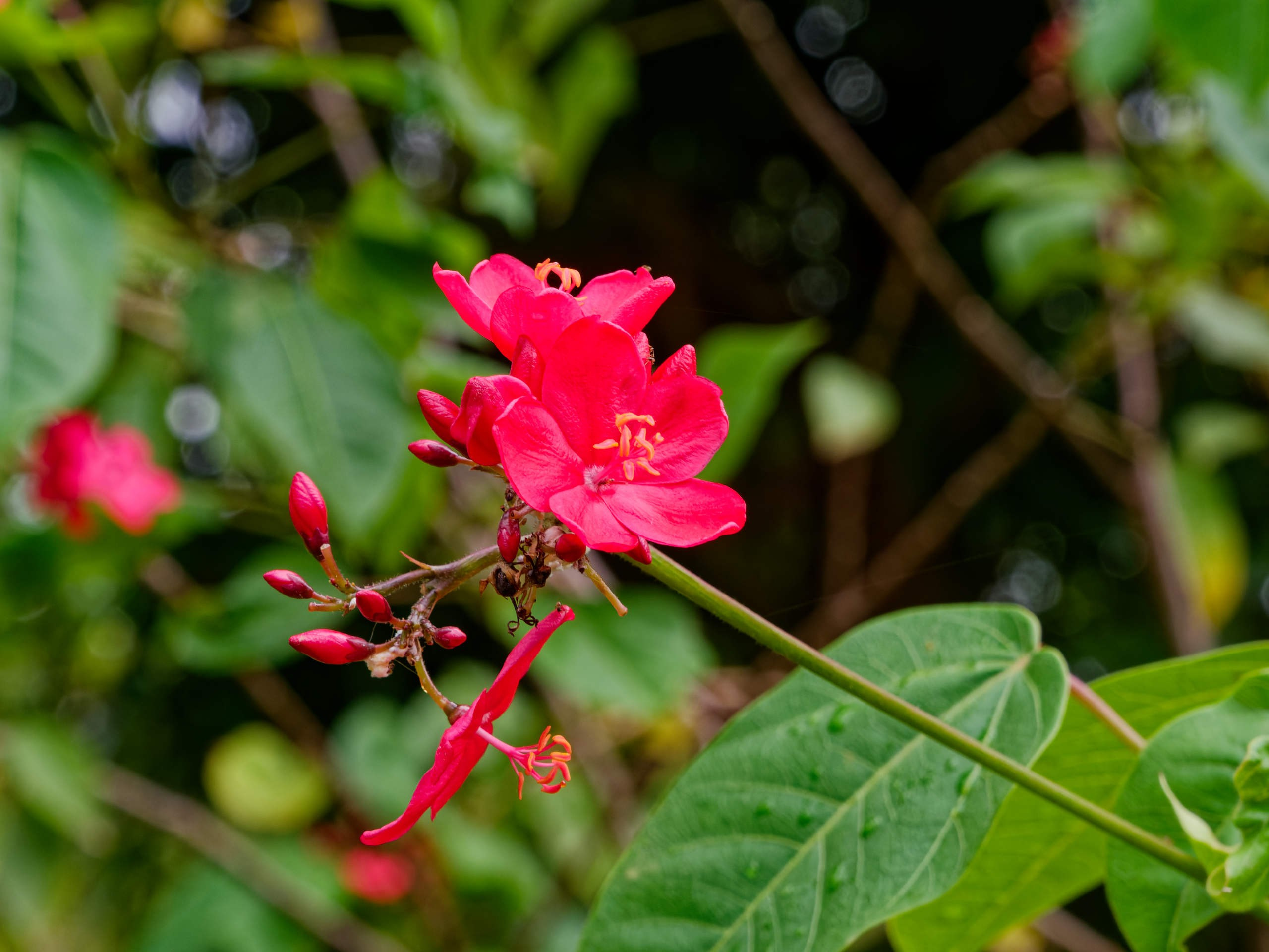 Нячанг 2025 (4). Избранные фотографии