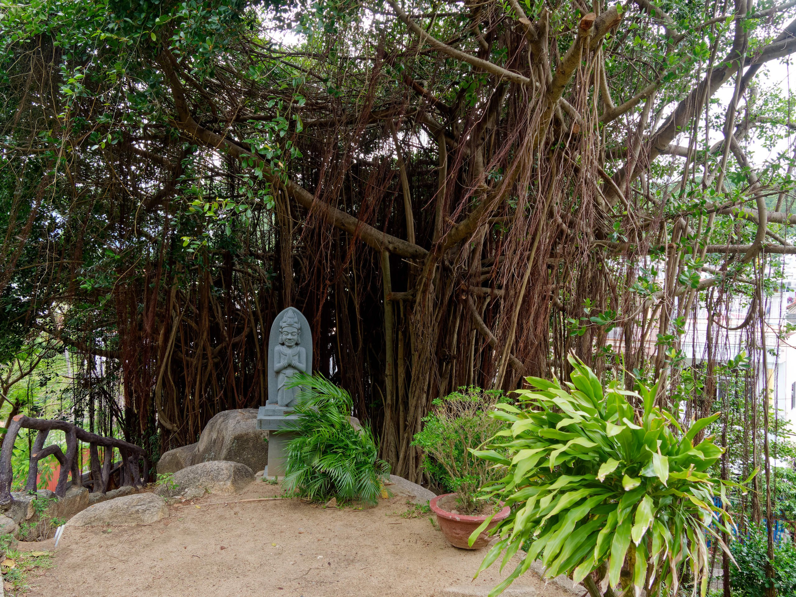 Нячанг 2025 (4). Избранные фотографии