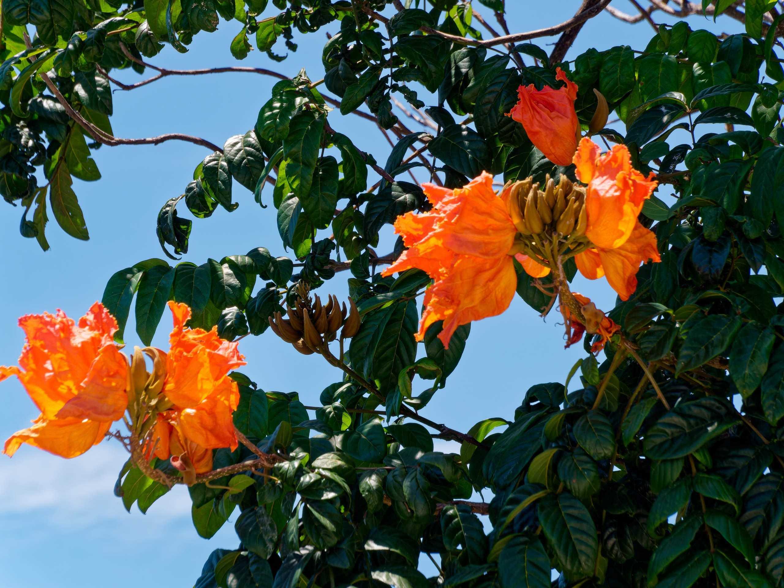 Нячанг 2025 (3). Избранные фотографии