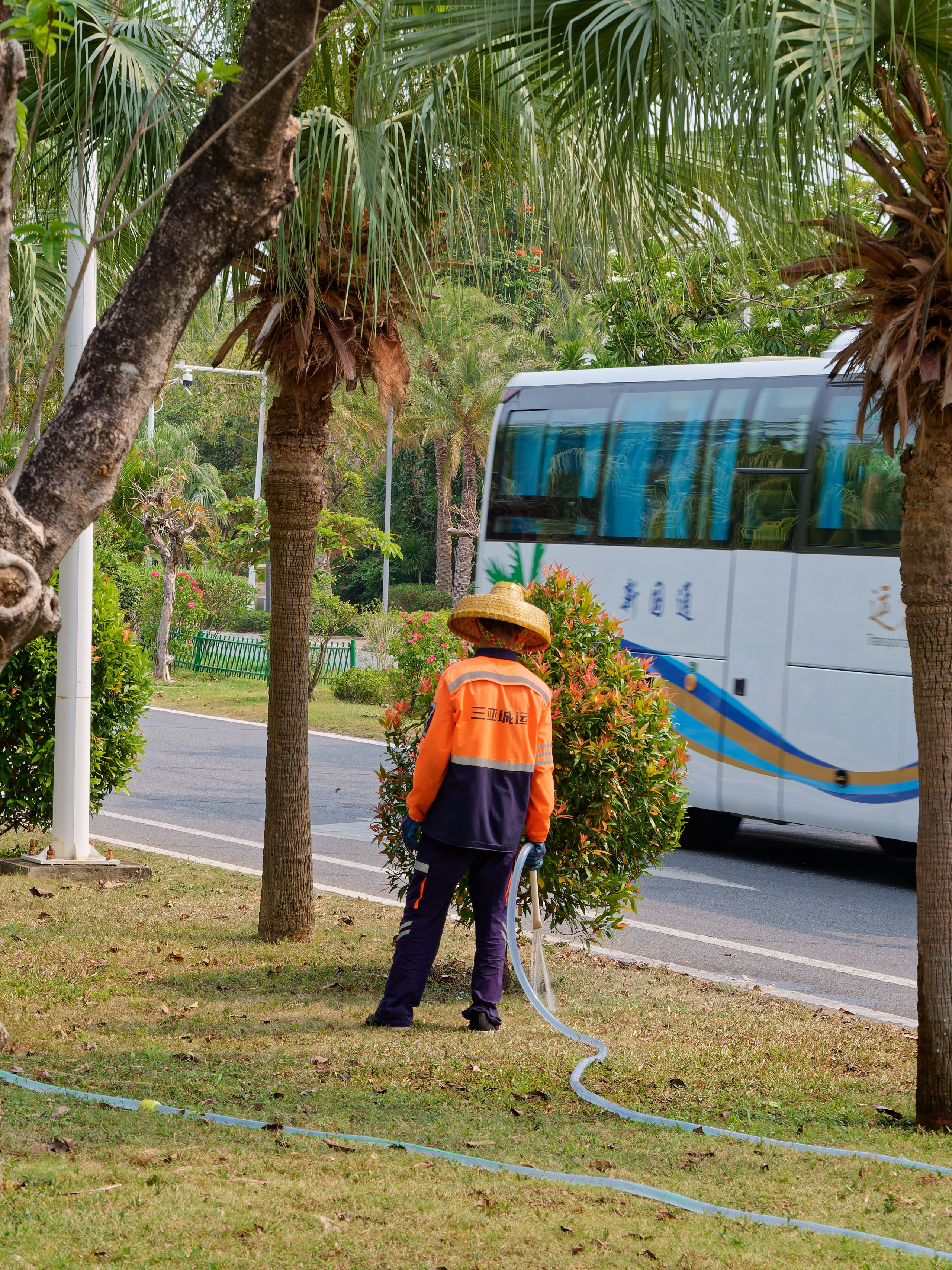 Хайнань 2026, первые впечатления. Фотопрогулки по Миру