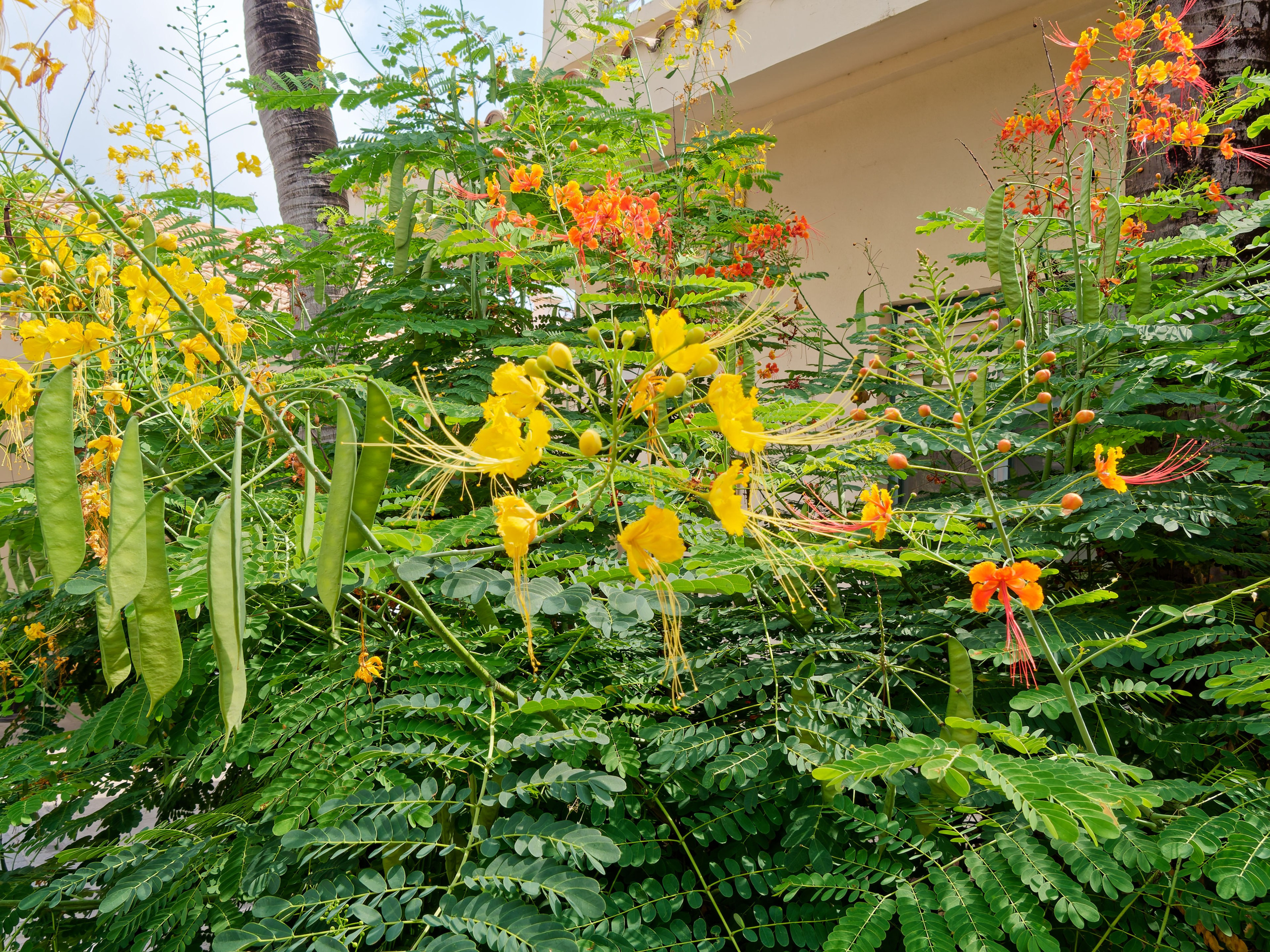 Хайнань 2026, «Food Street» ночная улица еды в Ялунване. Фотопрогулки по Миру