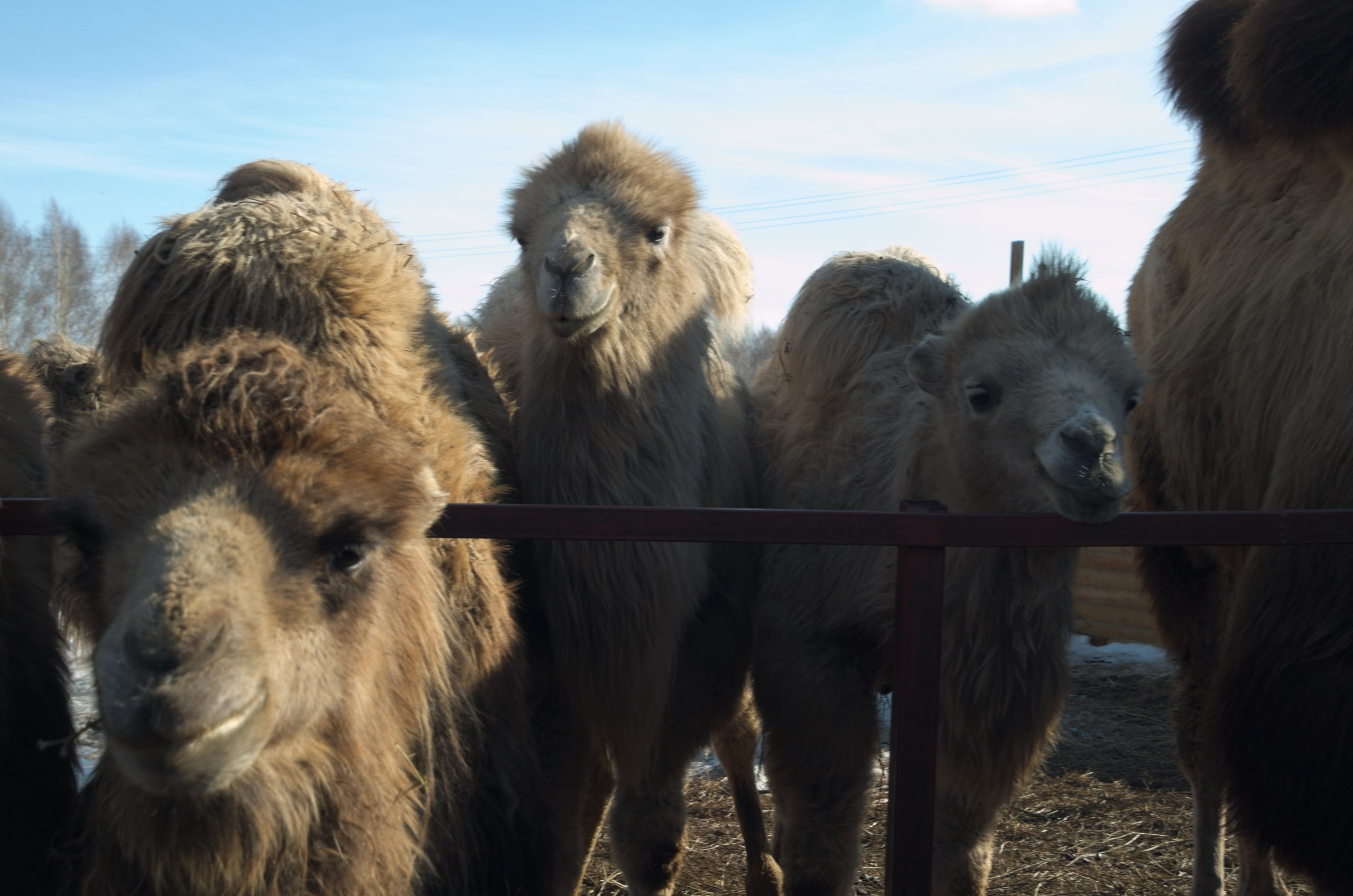 Казань | 24-26.03.2017. Галерея Фантим