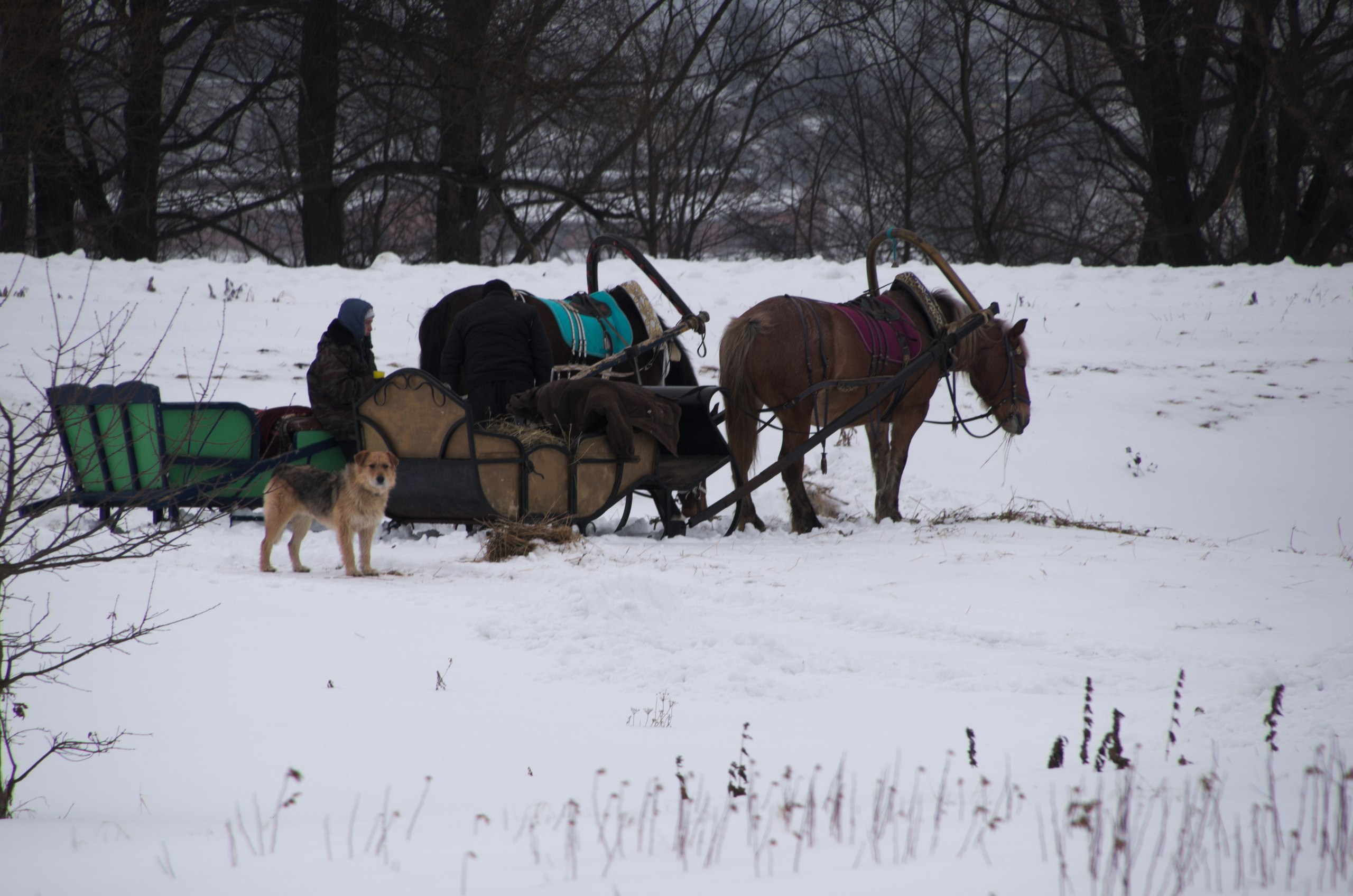 Владимир+Суздаль | 18-19.02.2017. Галерея Фантим
