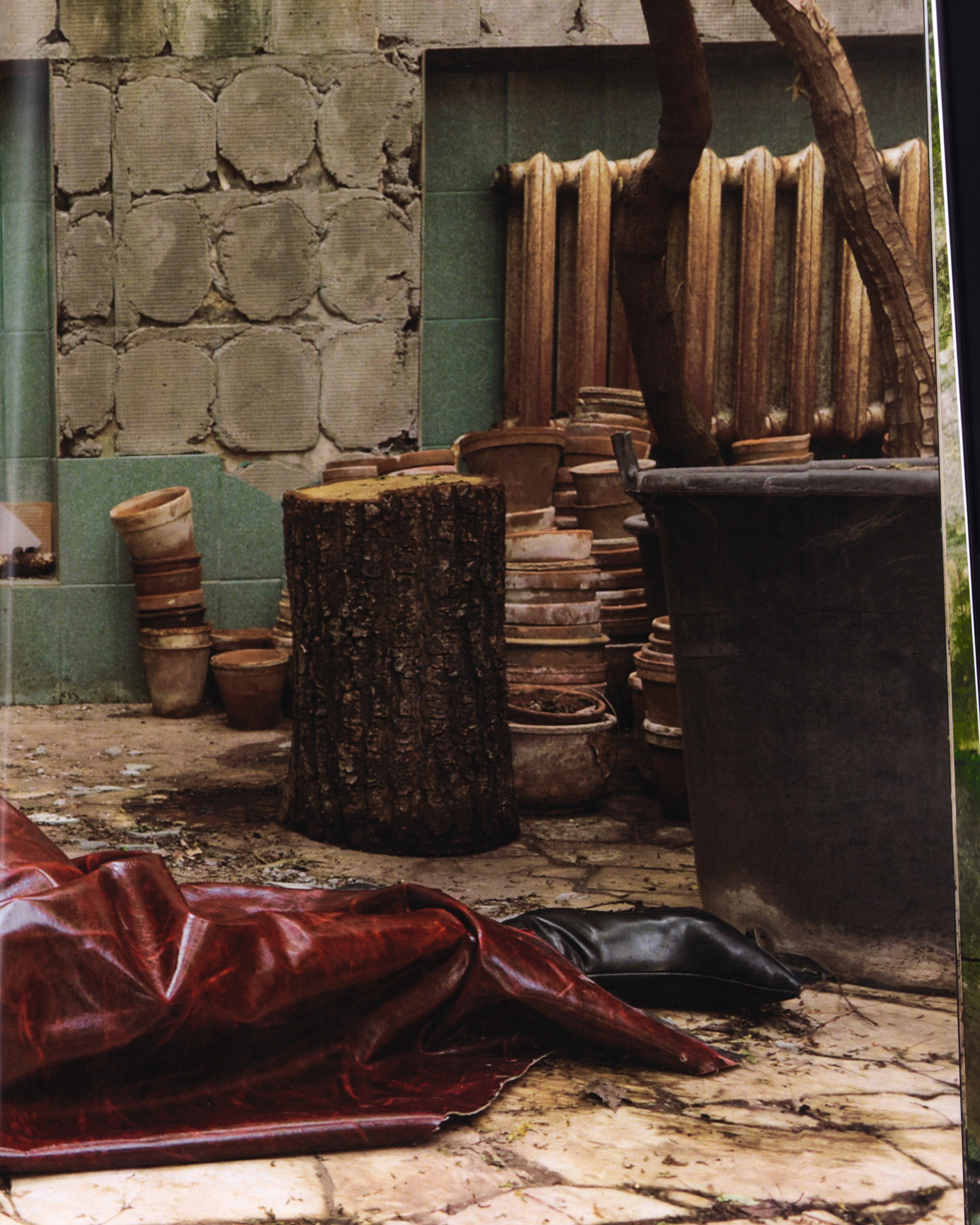 Greenhouse. Iliaarkhangelskii