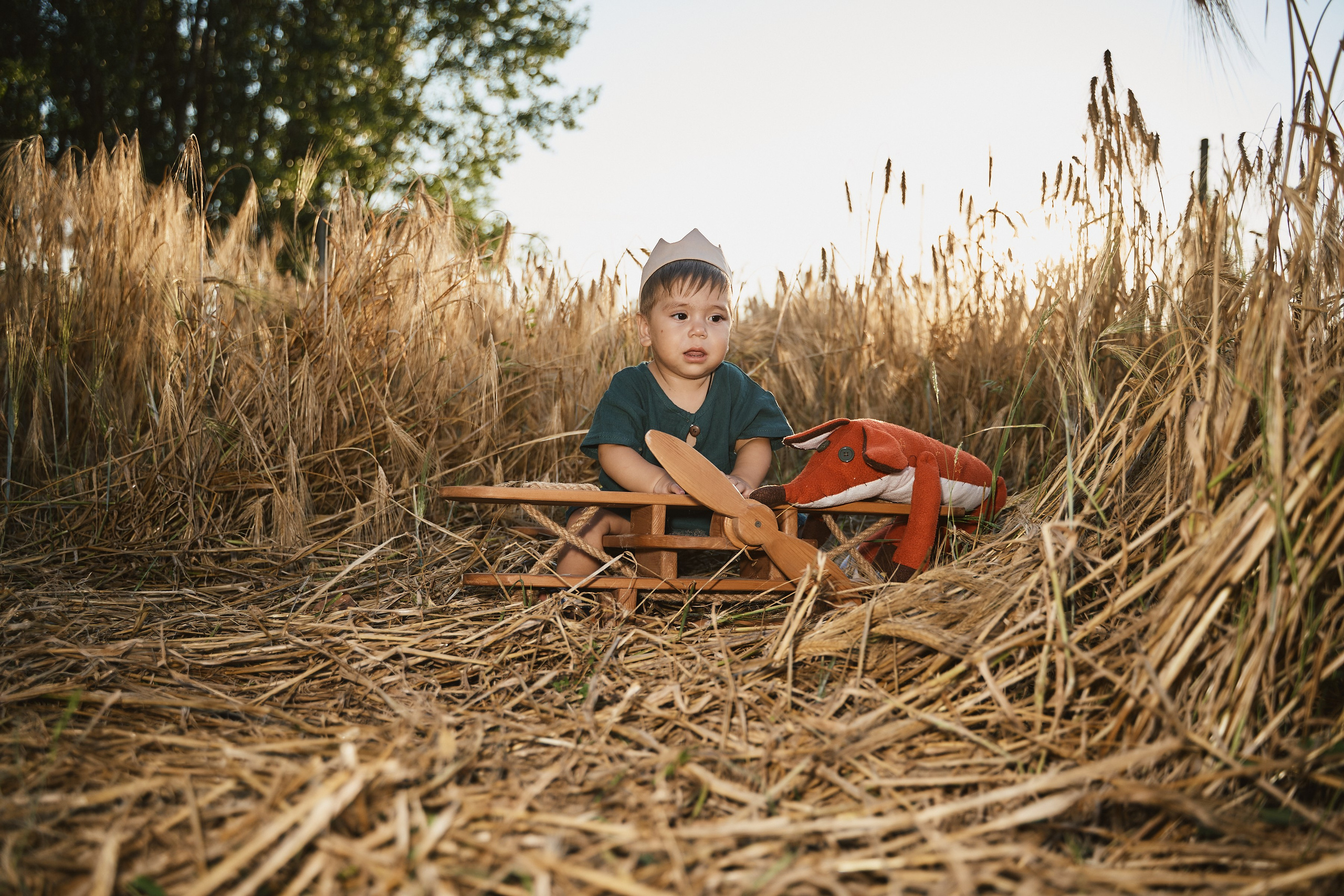 Маленький принц в поле. Петр Ступень. Свадебное, семейное фото и видео. Москва. Краснодар