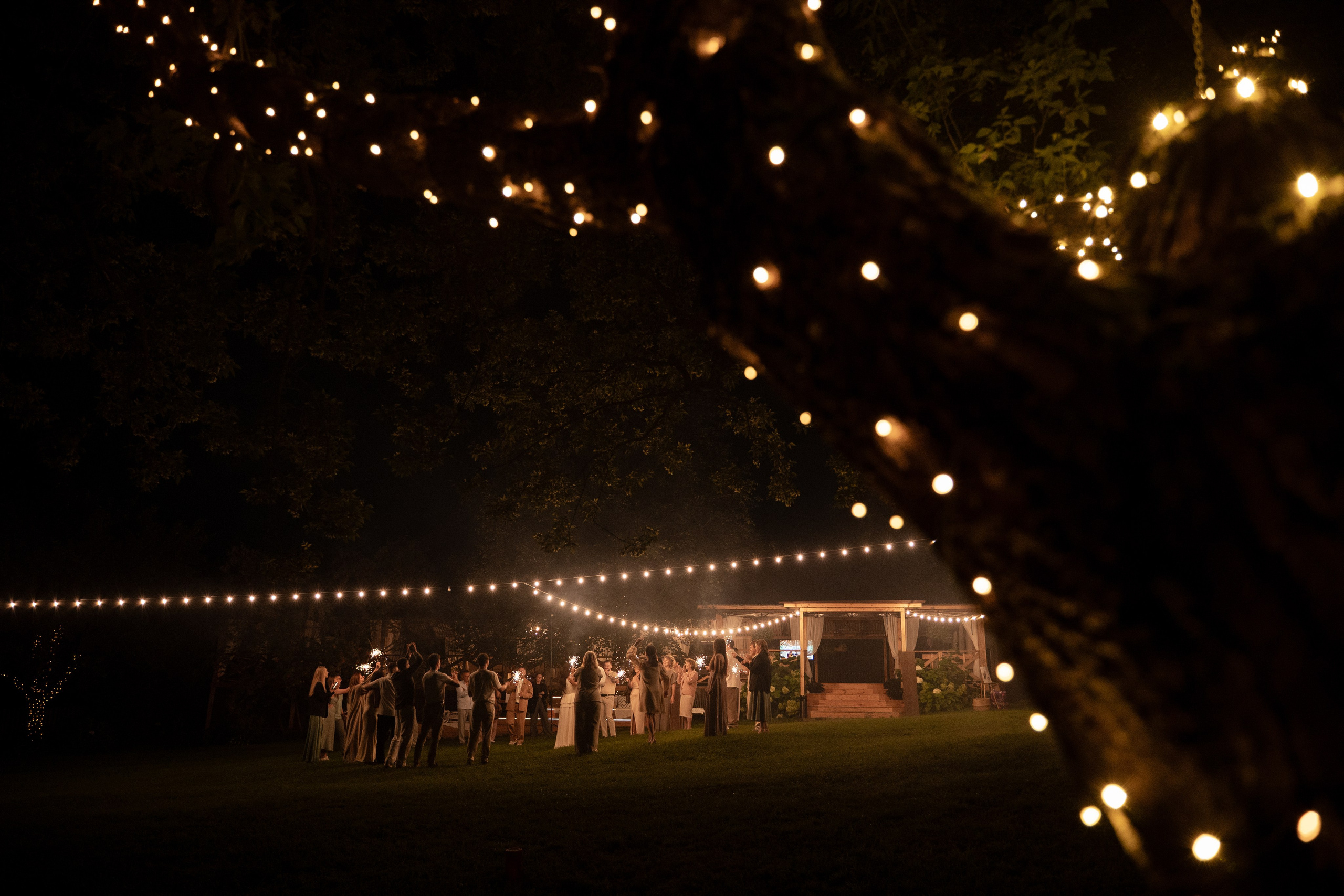 Александр и Алена. Свадебный фотограф Тула