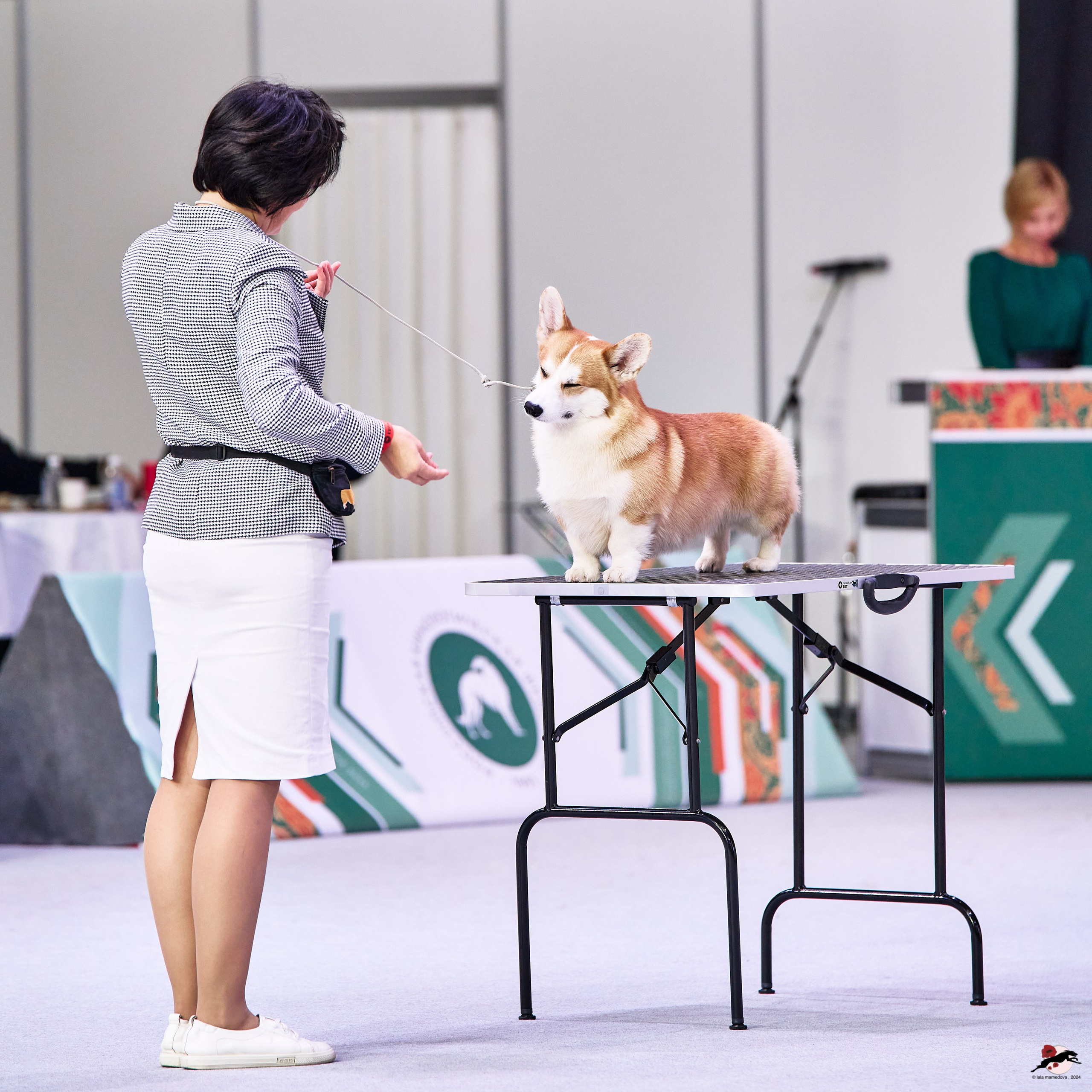 16.11.2024 «ЕВРАЗИЯ. КУБОК ПРЕЗИДЕНТА РКФ 2024»