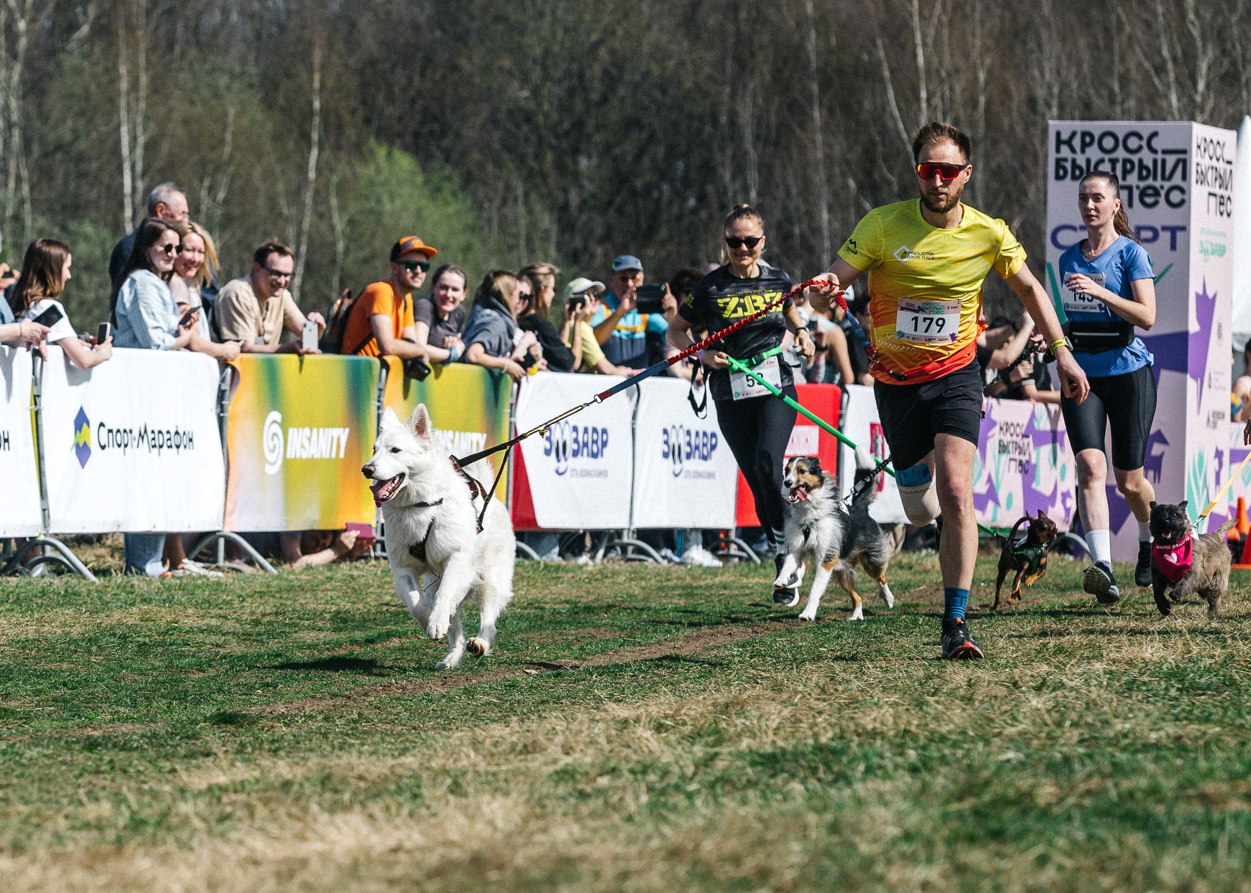Кросс «Быстрый пёс» 2025. Репортажный фотограф в Москве