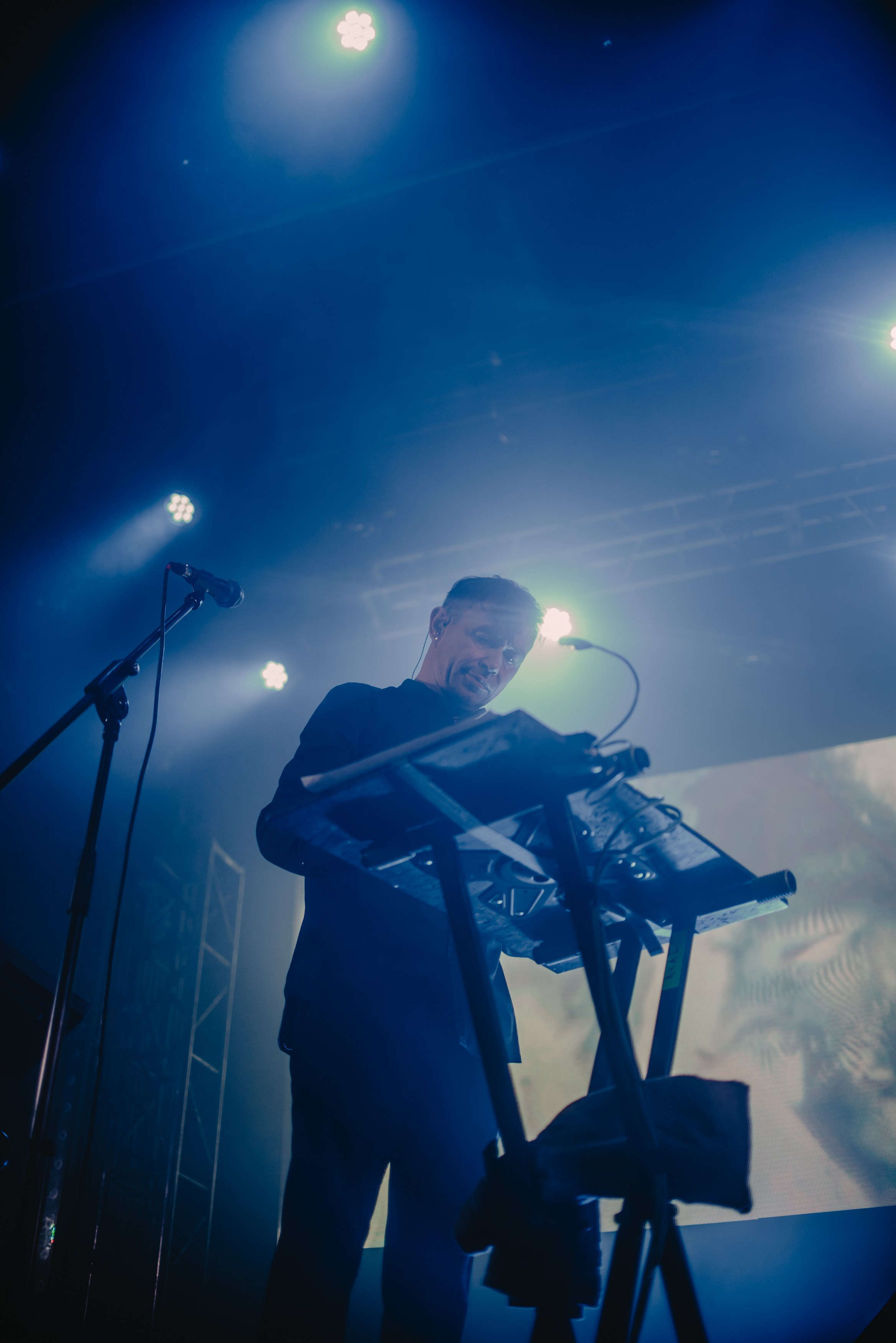 Дельфин | Gaudi. Контент фотограф Илья Урс