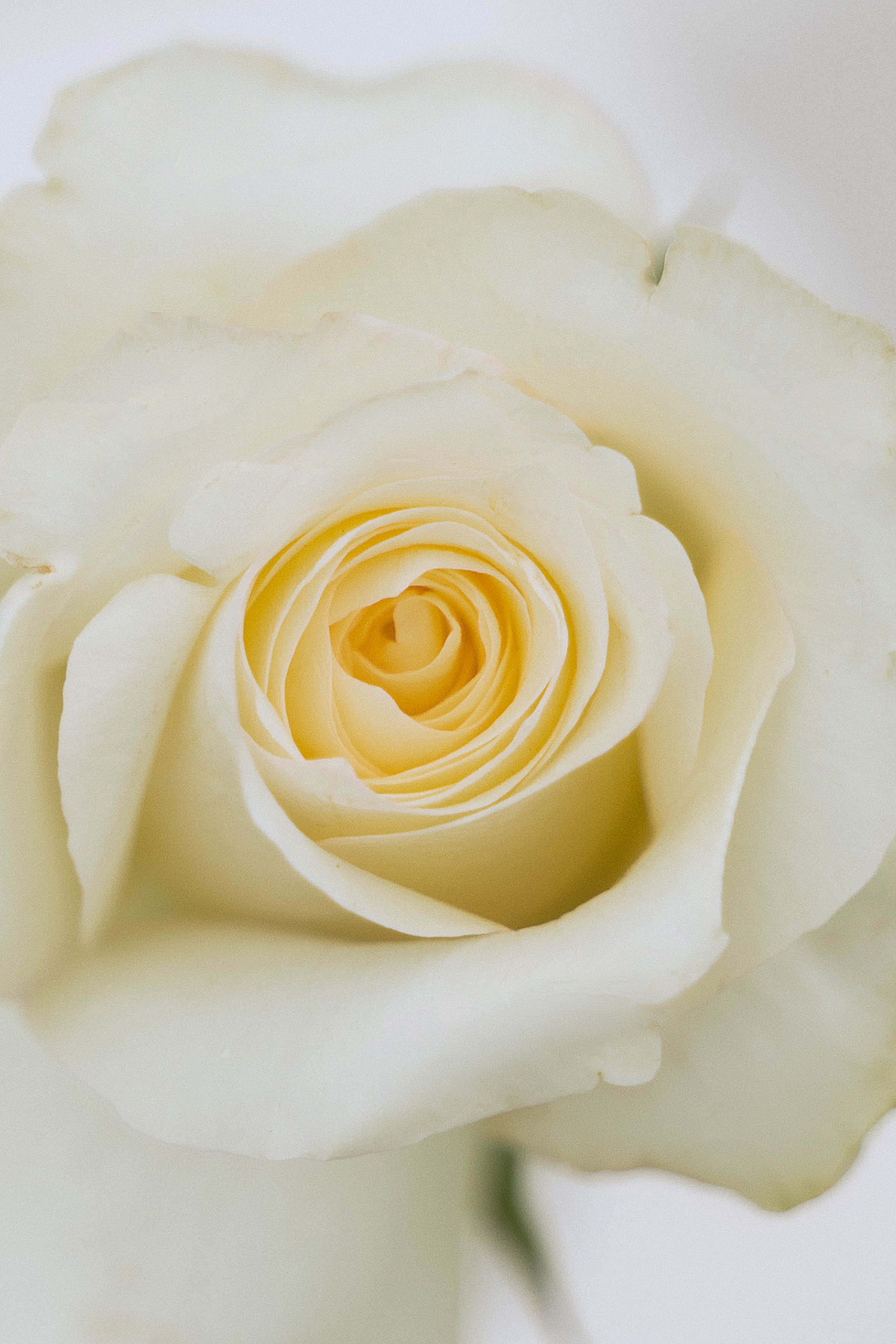 Наконец-то. Свадебный фотограф в Краснодаре и Санкт-Петербурге Евгения Алексеева