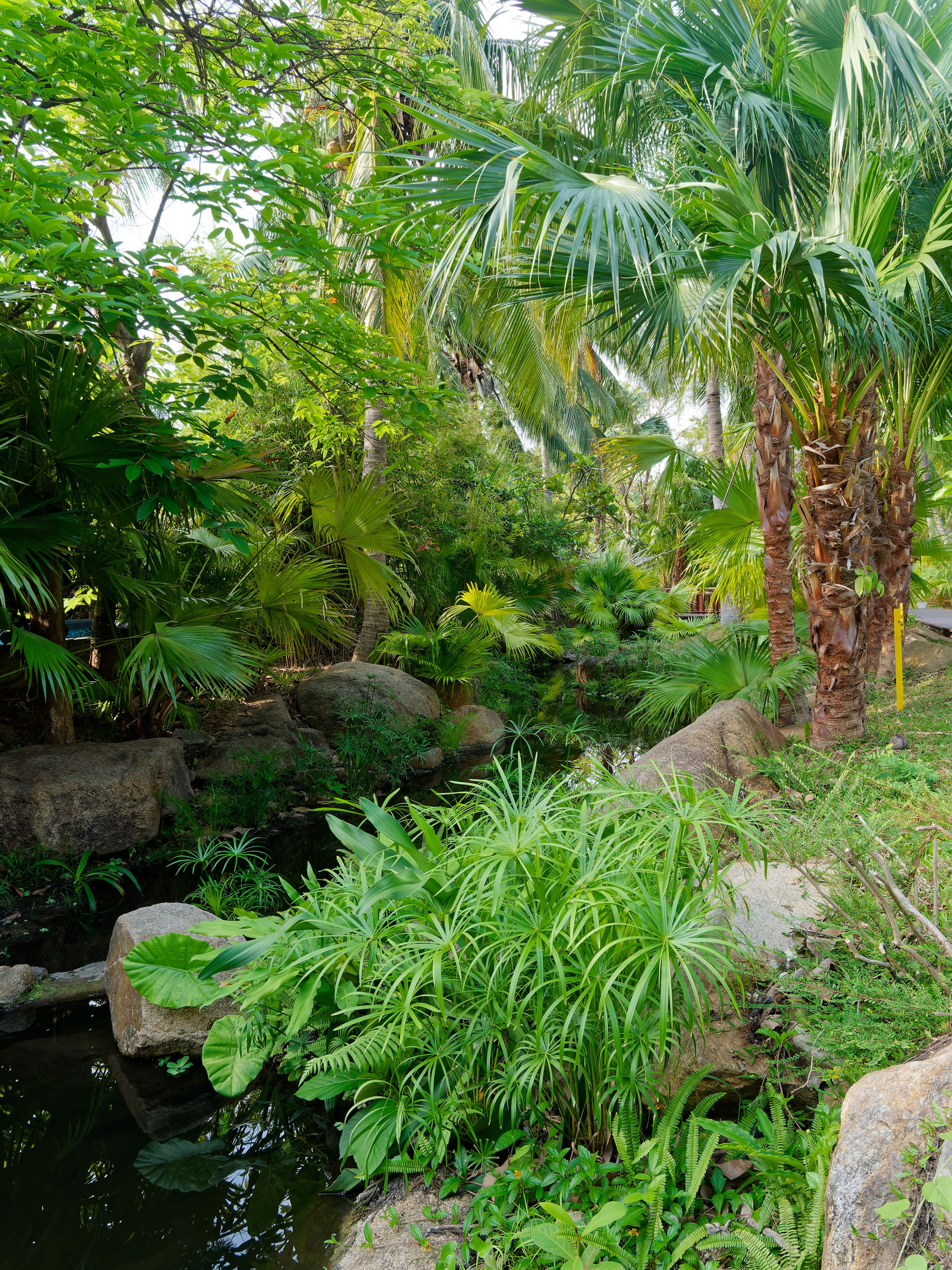 Хайнань 2026, отель «Stony Brook Villa Jianguo Resort Sanya 4*». Фотопрогулки по Миру