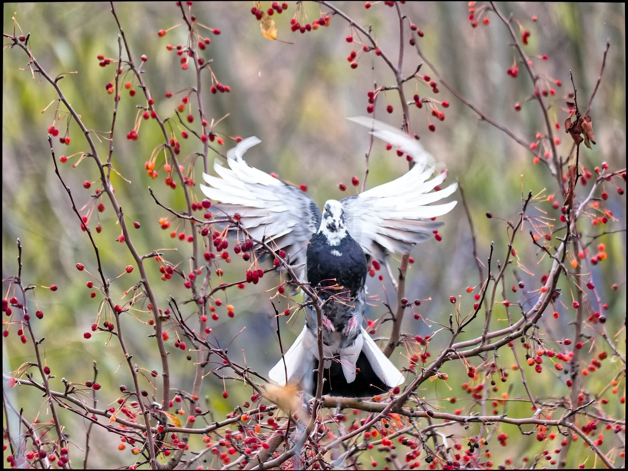 Боровое 2020 (из архива). Избранные фотографии