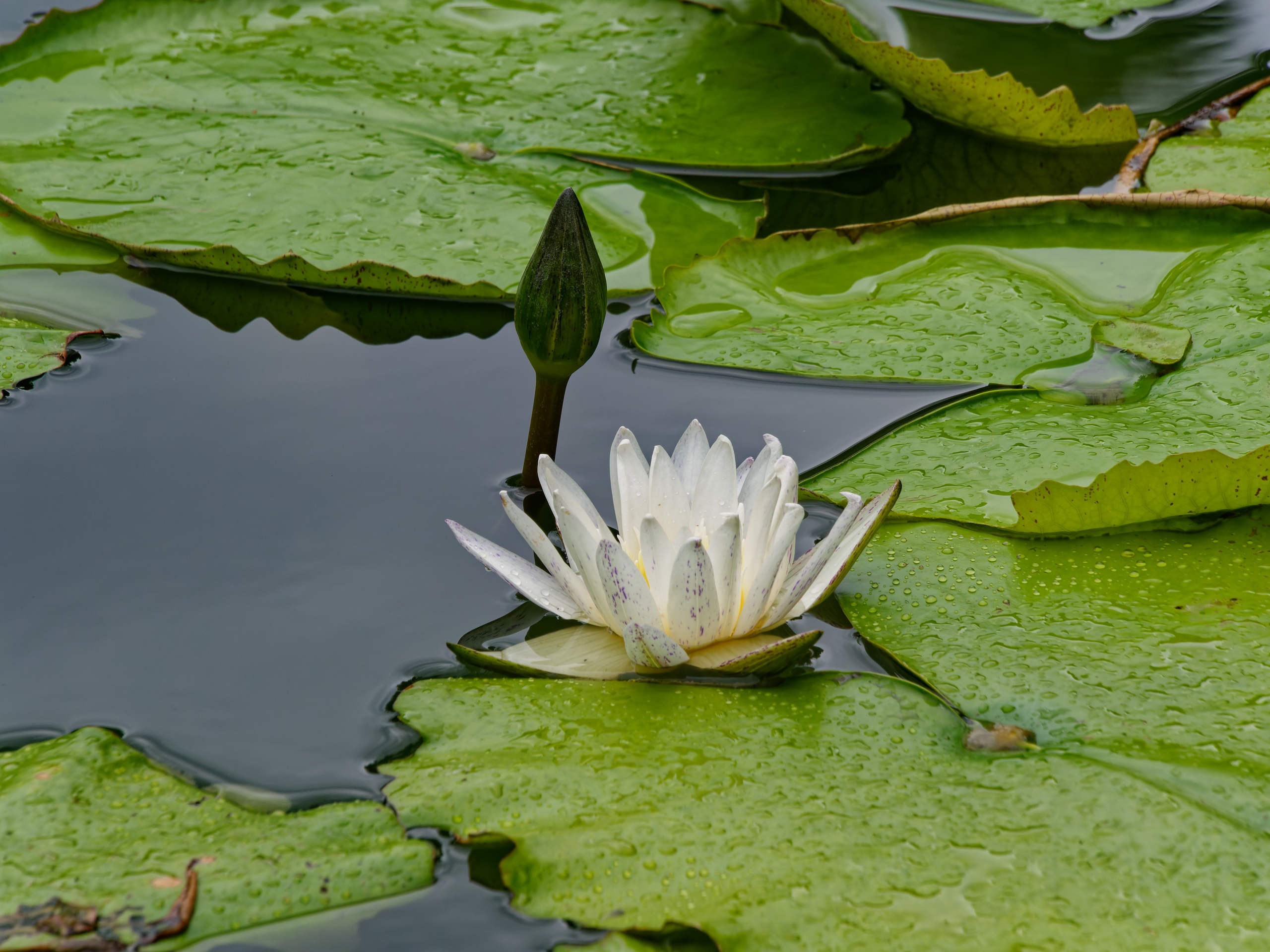 Нячанг 2025 (4). Избранные фотографии