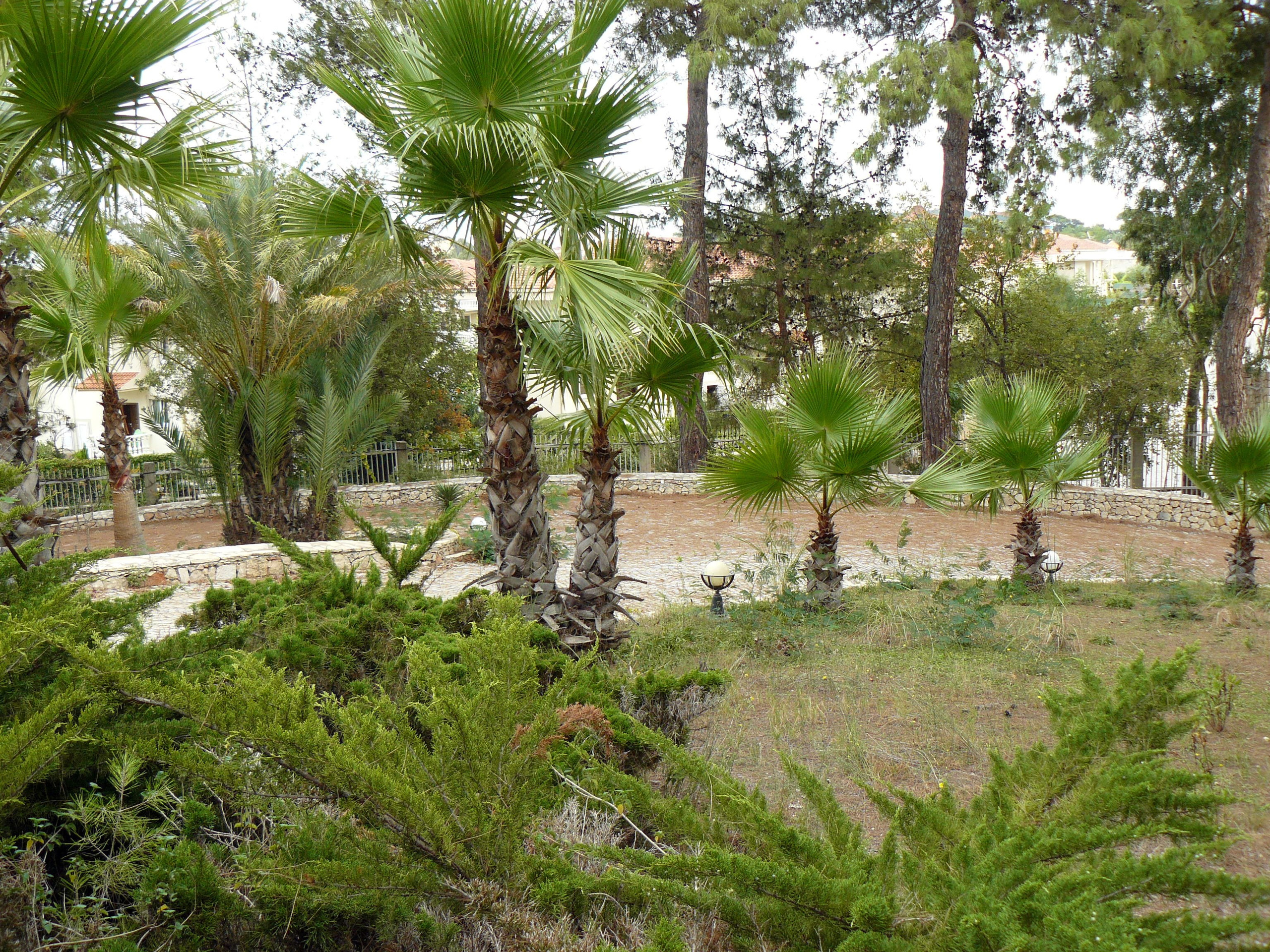 Кемер, Чамьюва 2008. Избранные фотографии