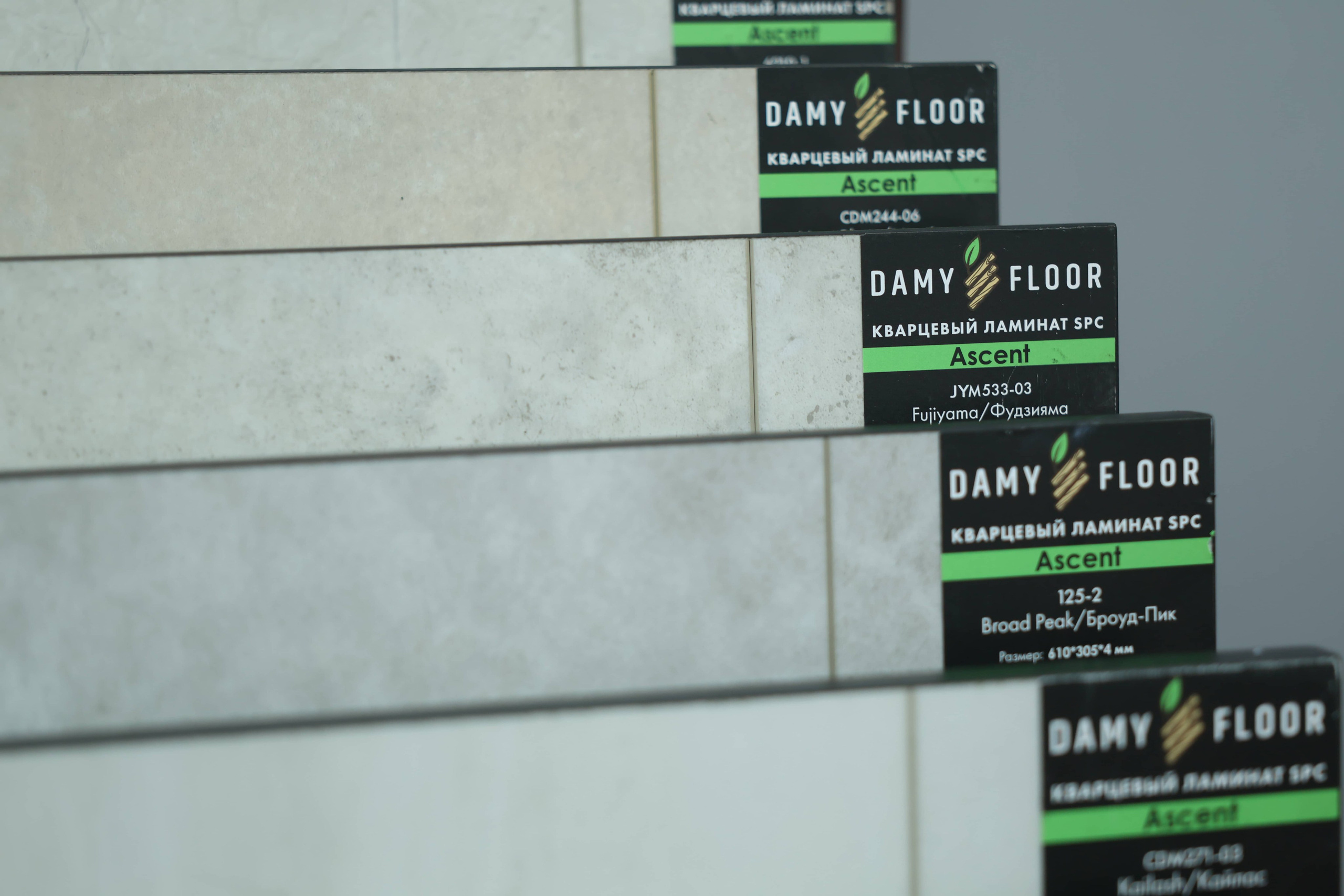 Damy Floor