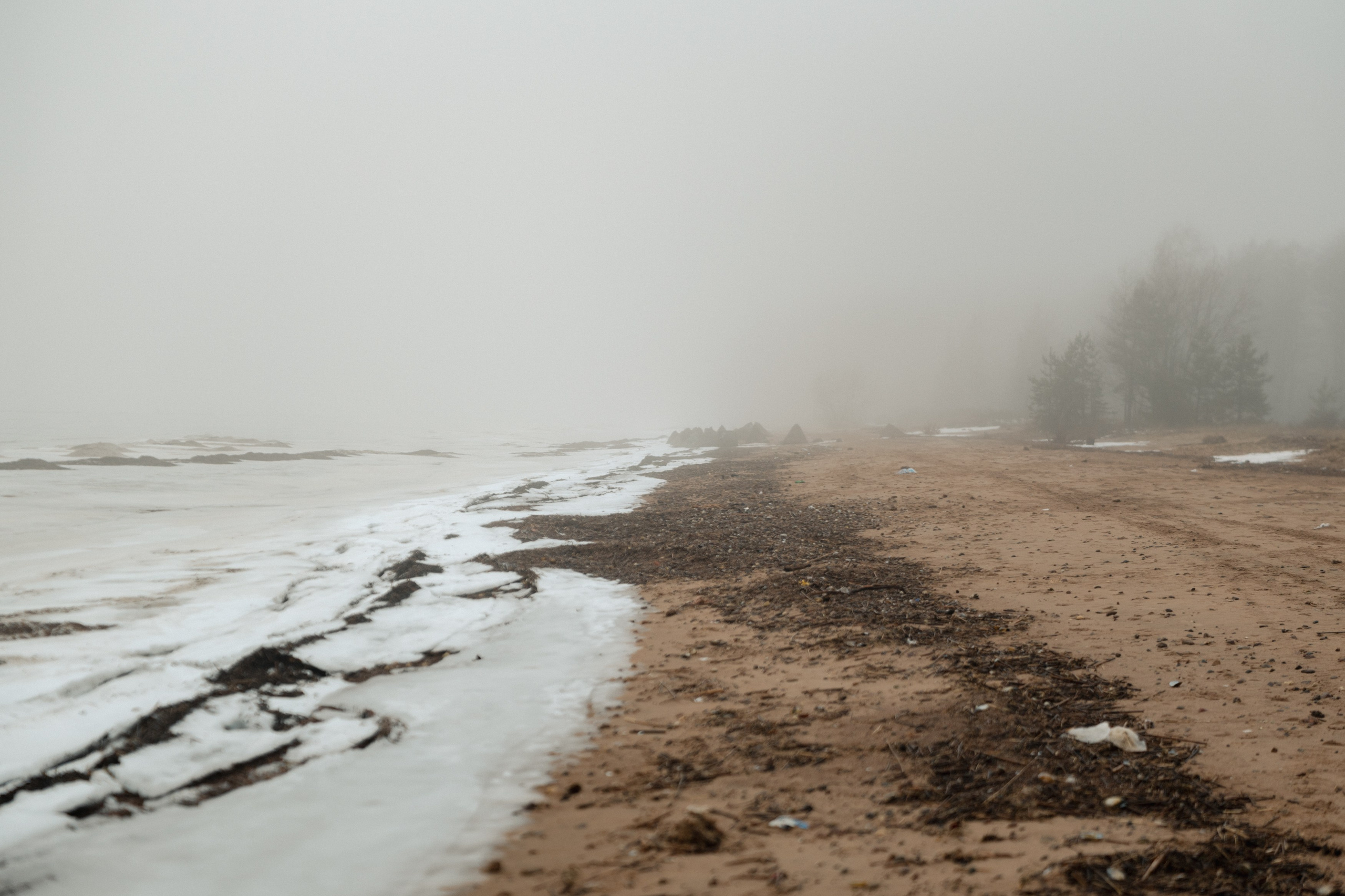 Случайное — неслучайное. Фотограф Ника Лиепа
