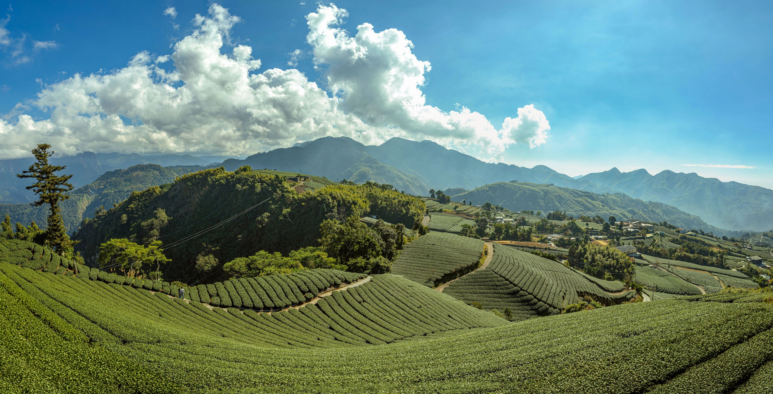 Тайвань. Фотография, ретушь, сканирование, восстановление старых фото, интерьерная съёмка, студия. Данилов Александр, Москва
