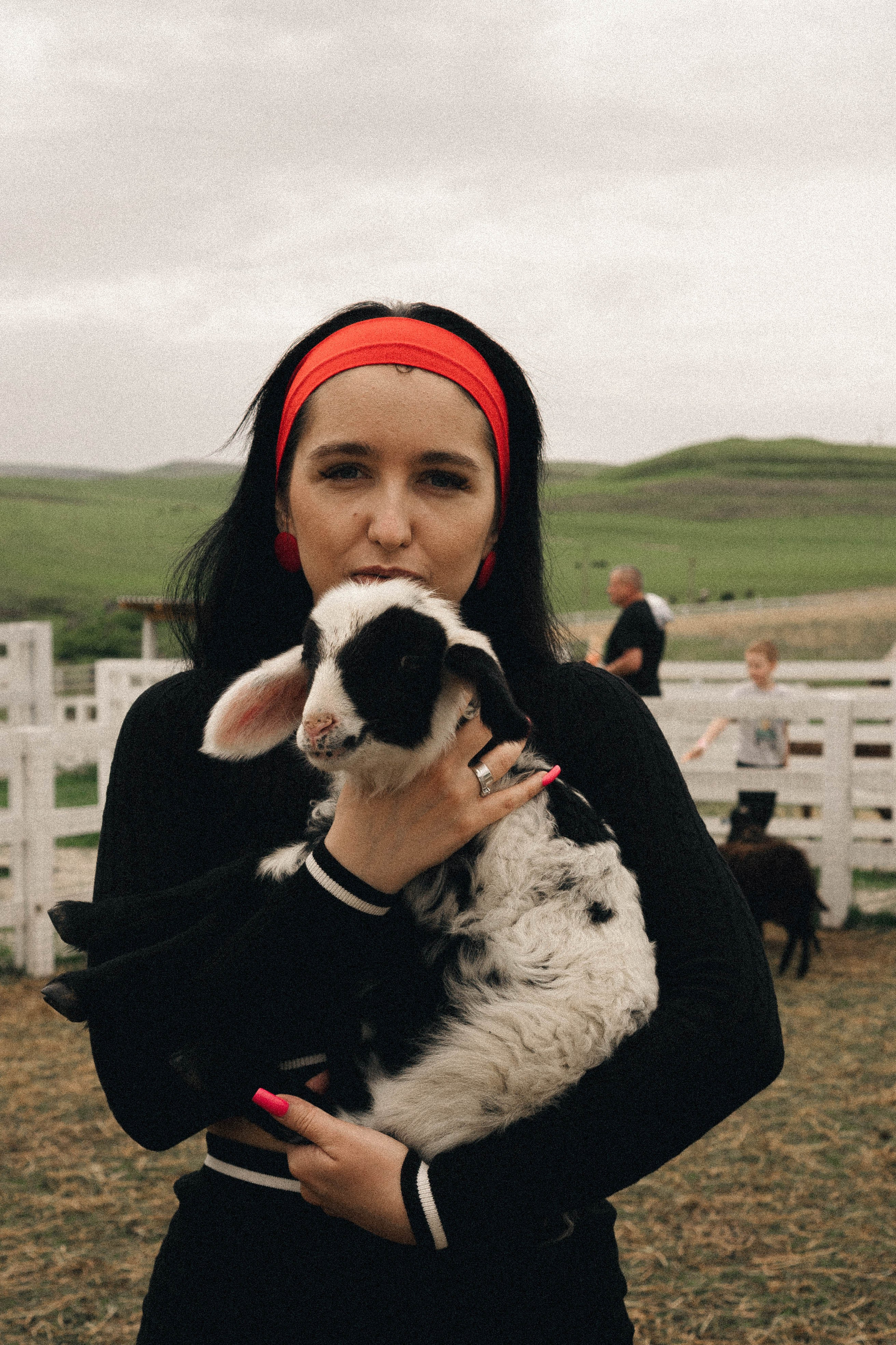 Ферма Альпак. Профессиональный фотограф, Санкт-Петербург — Виктория Богомолова