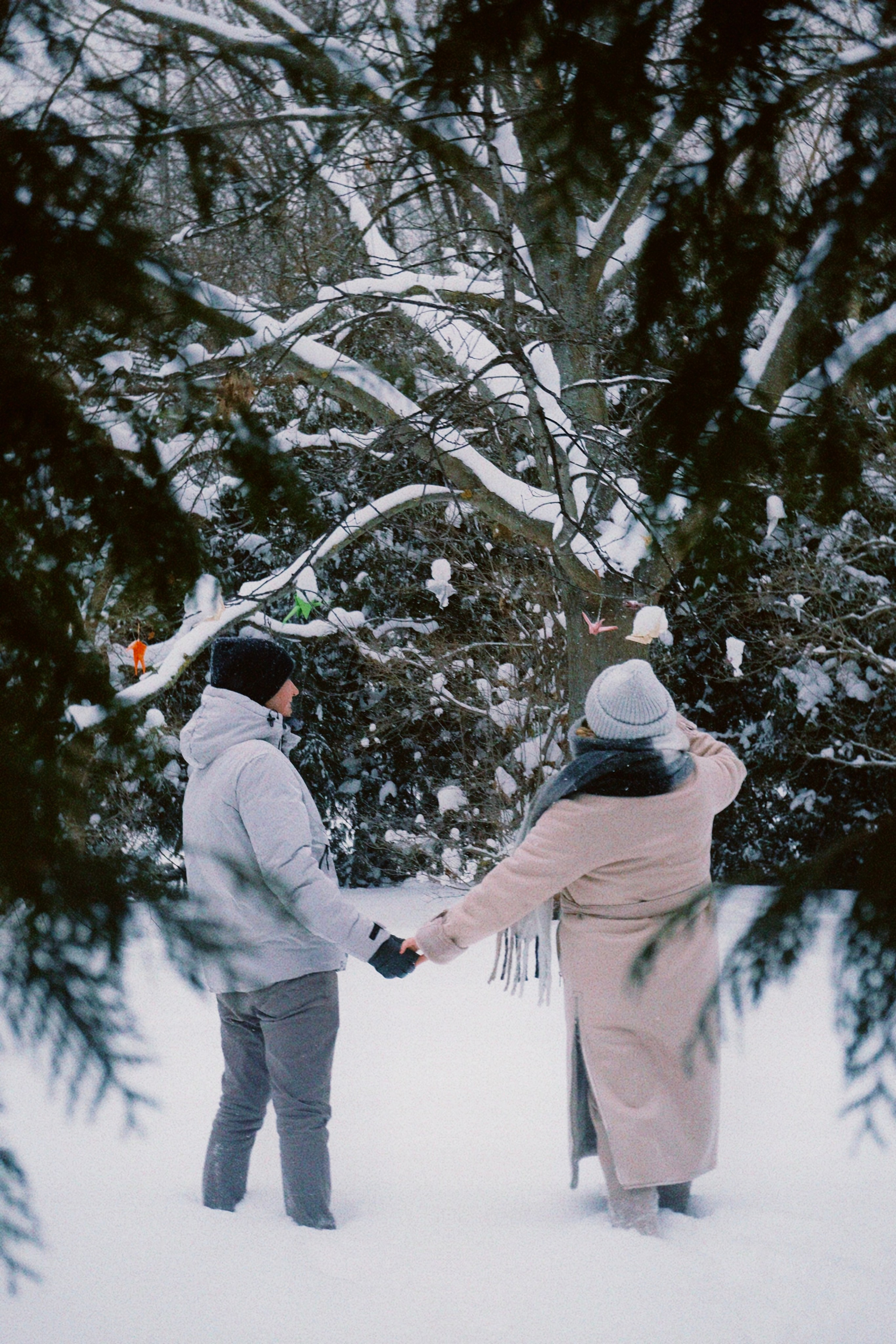 1+1. Татьян гертье