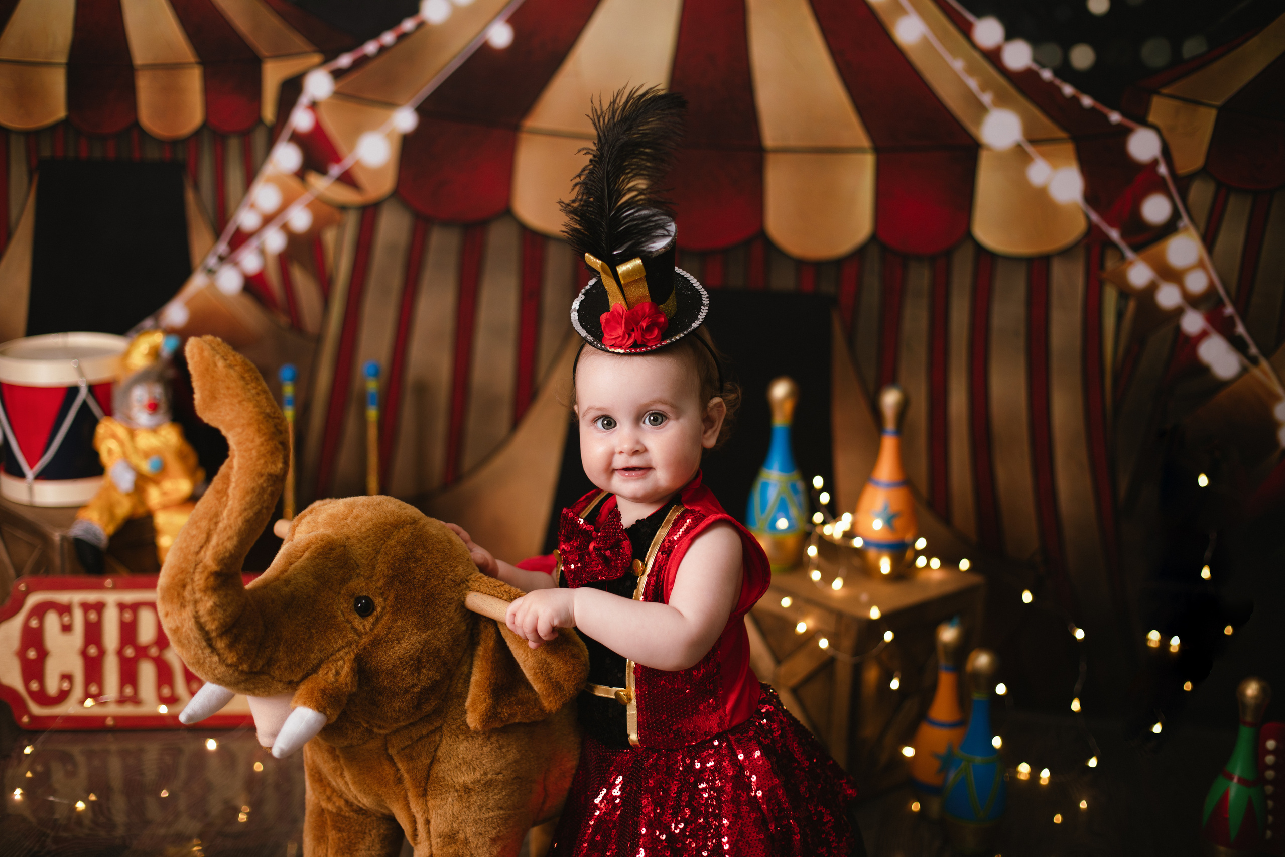 Цирк. Фотограф новорождённых Псков