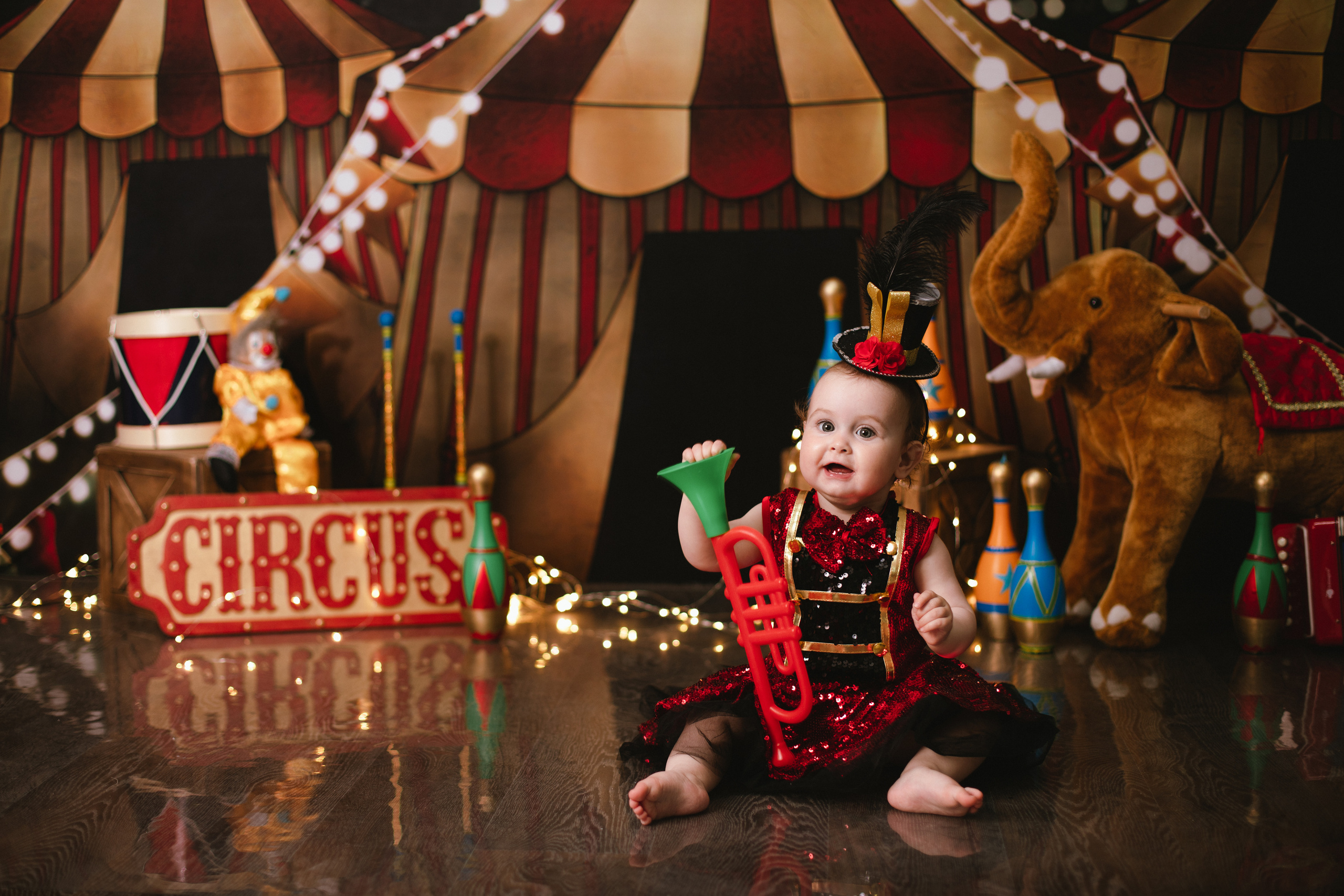 Цирк. Фотограф новорождённых Псков