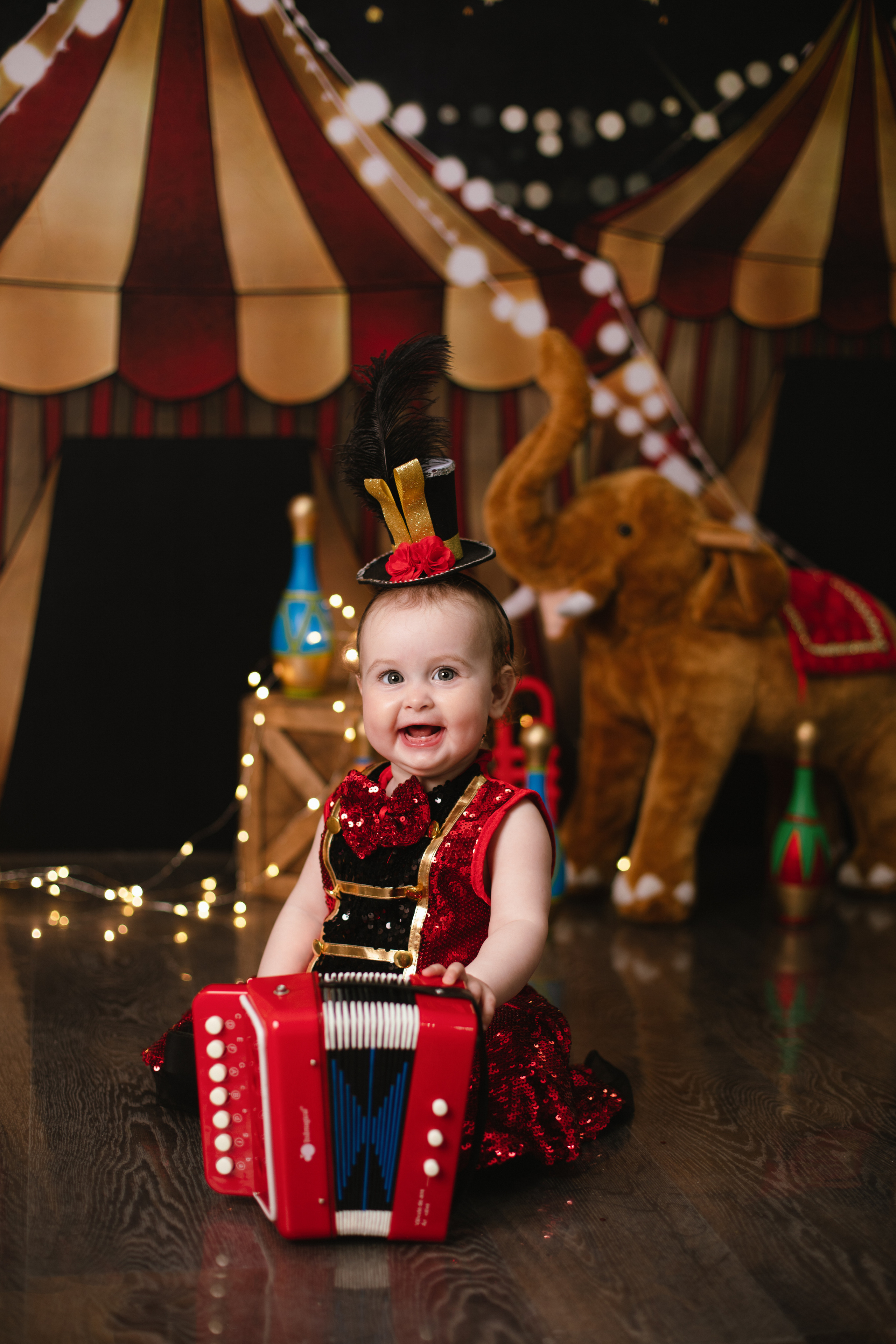 Цирк. Фотограф новорождённых Псков