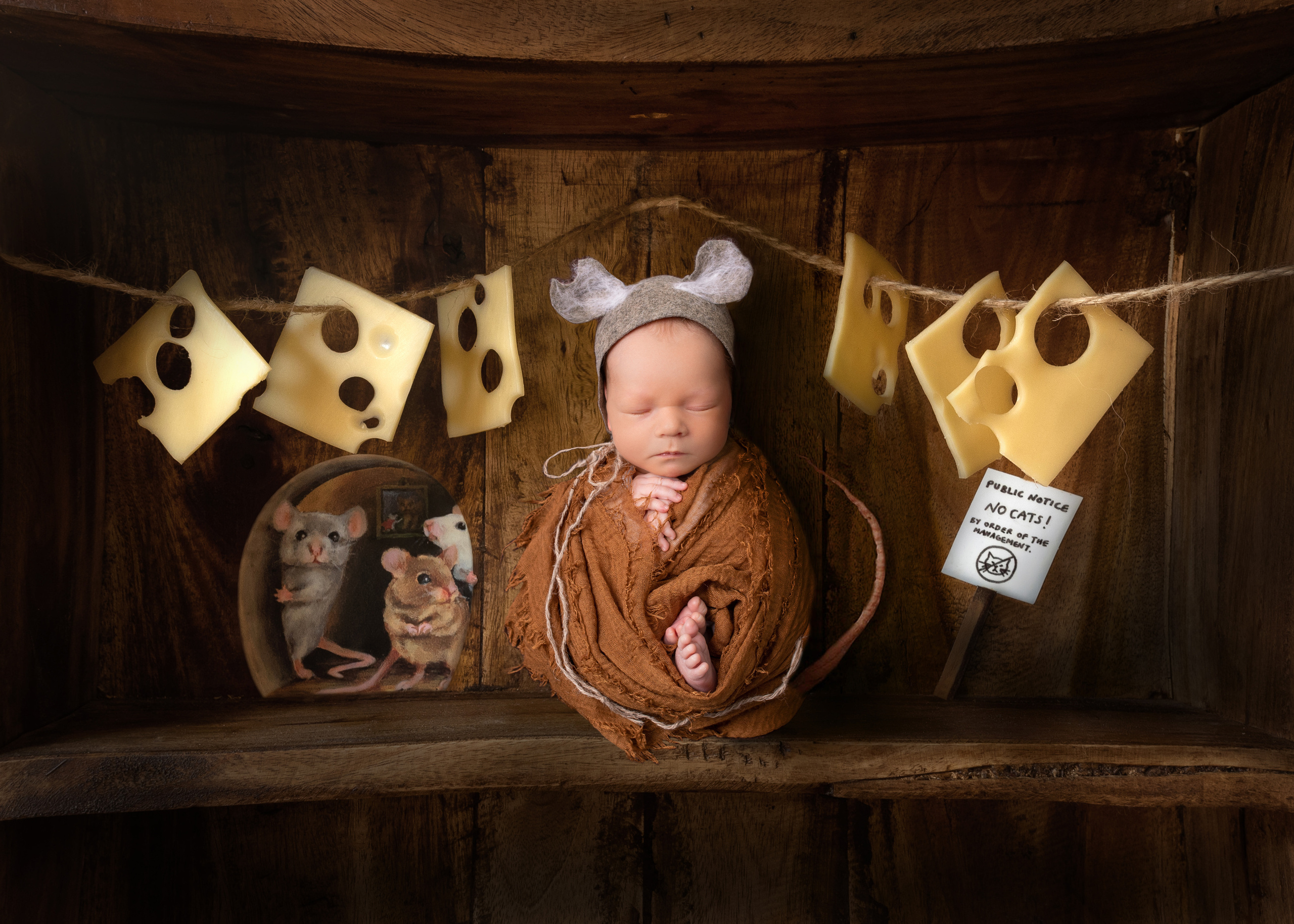 Фотограф новорождённых Псков