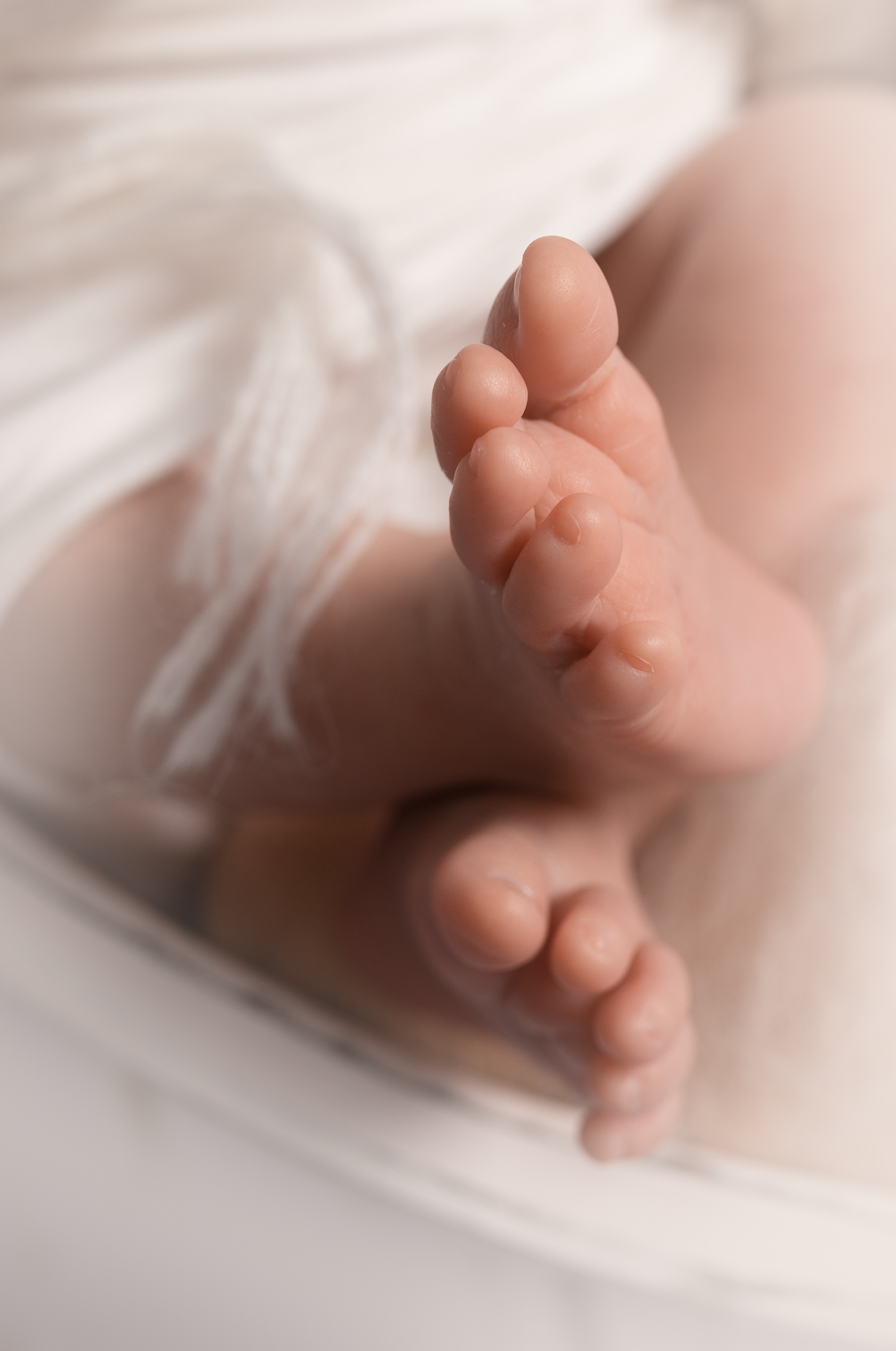 Фотограф новорождённых Псков