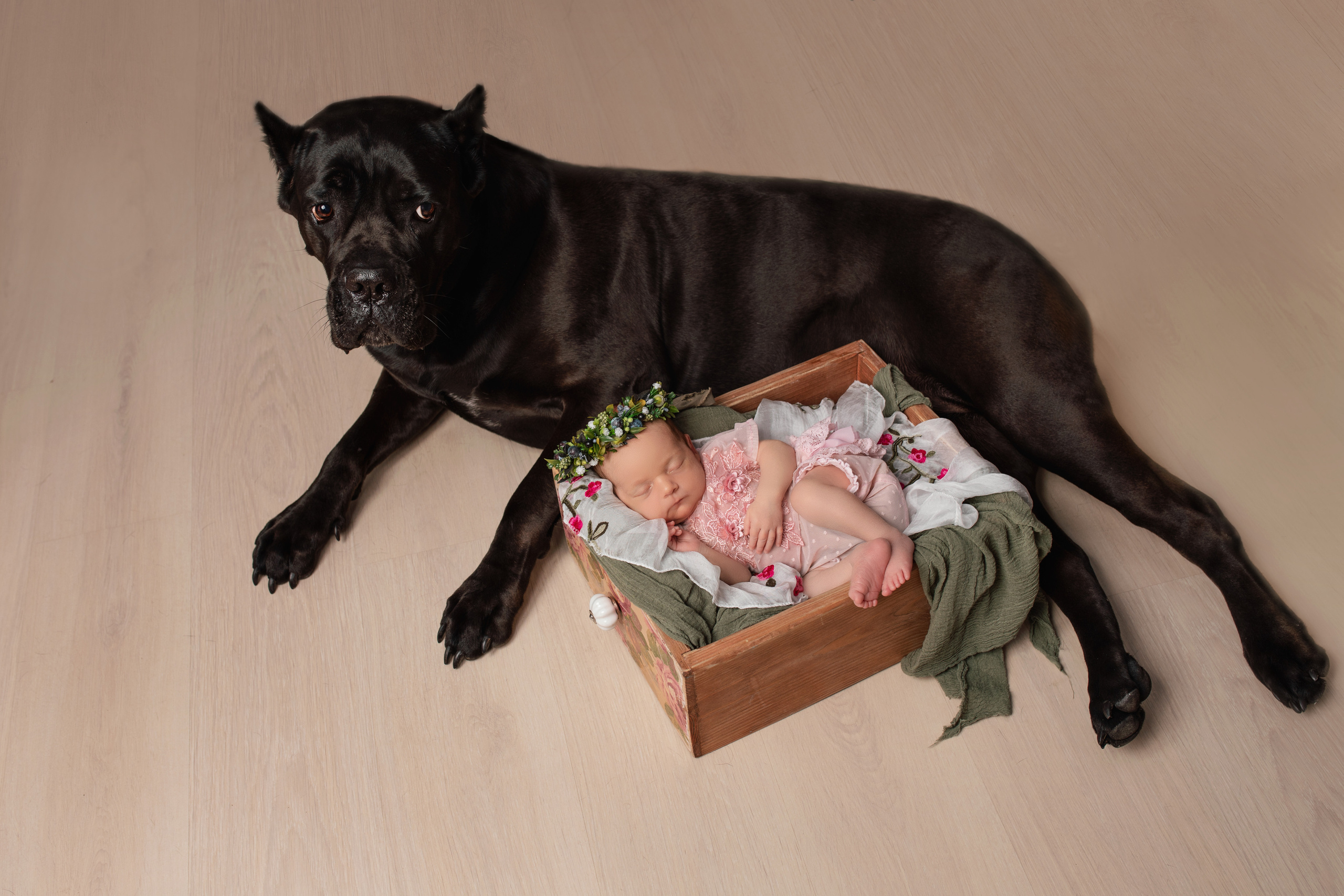 Фотограф новорождённых Псков