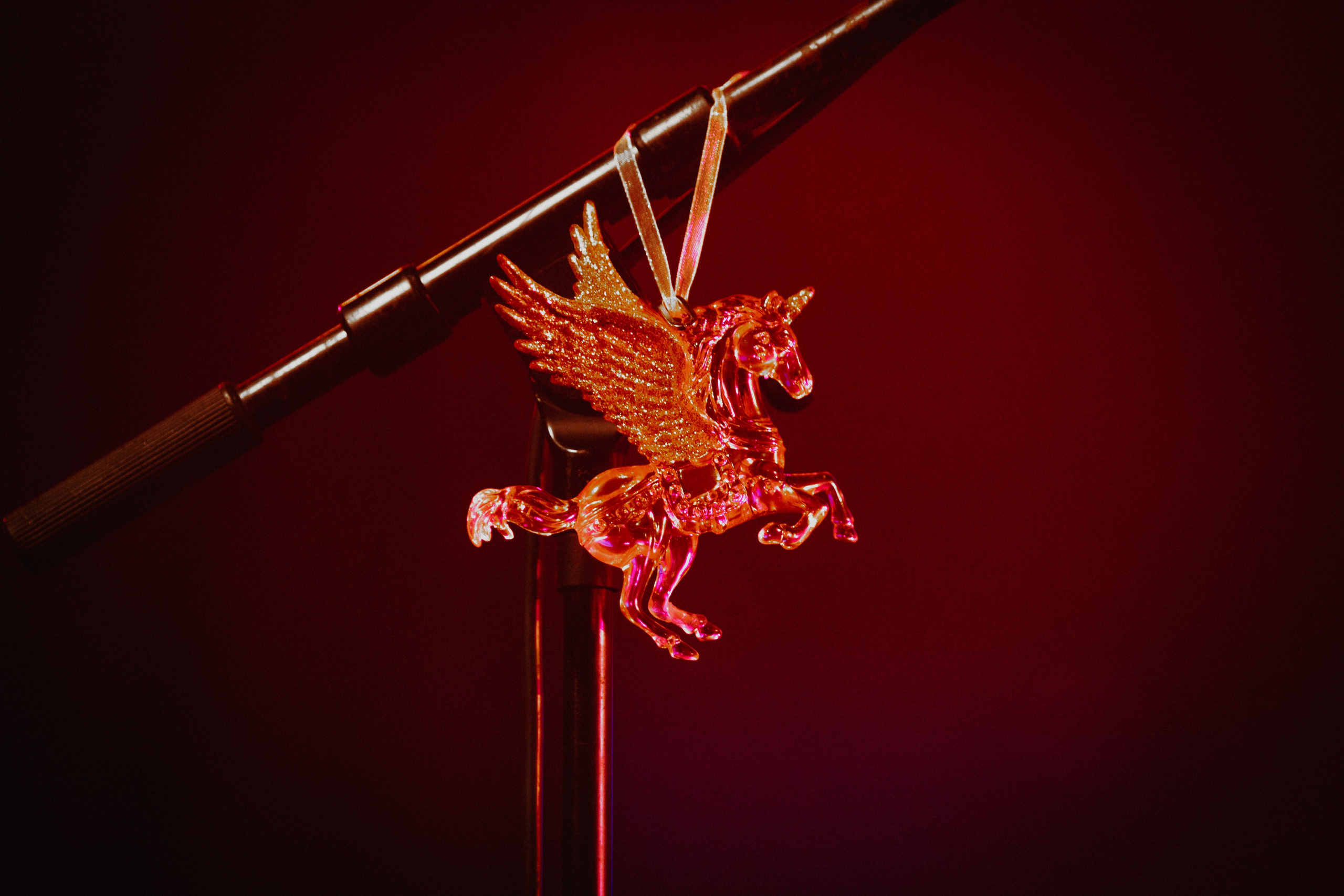 Джинсы тарковского. Фотограф Елена Богачева (lenalena_na_na_na)