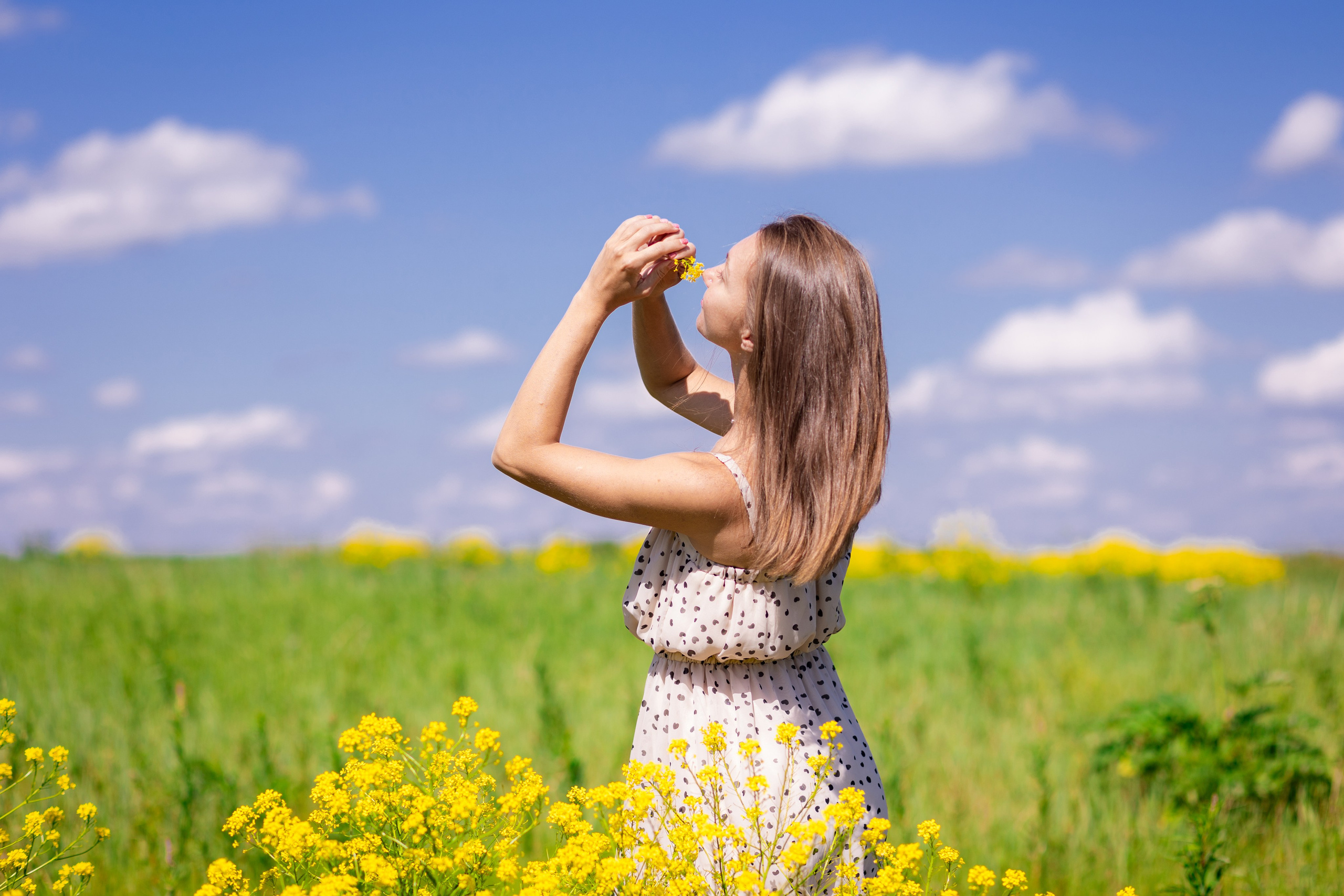 Поле. Art my Pho