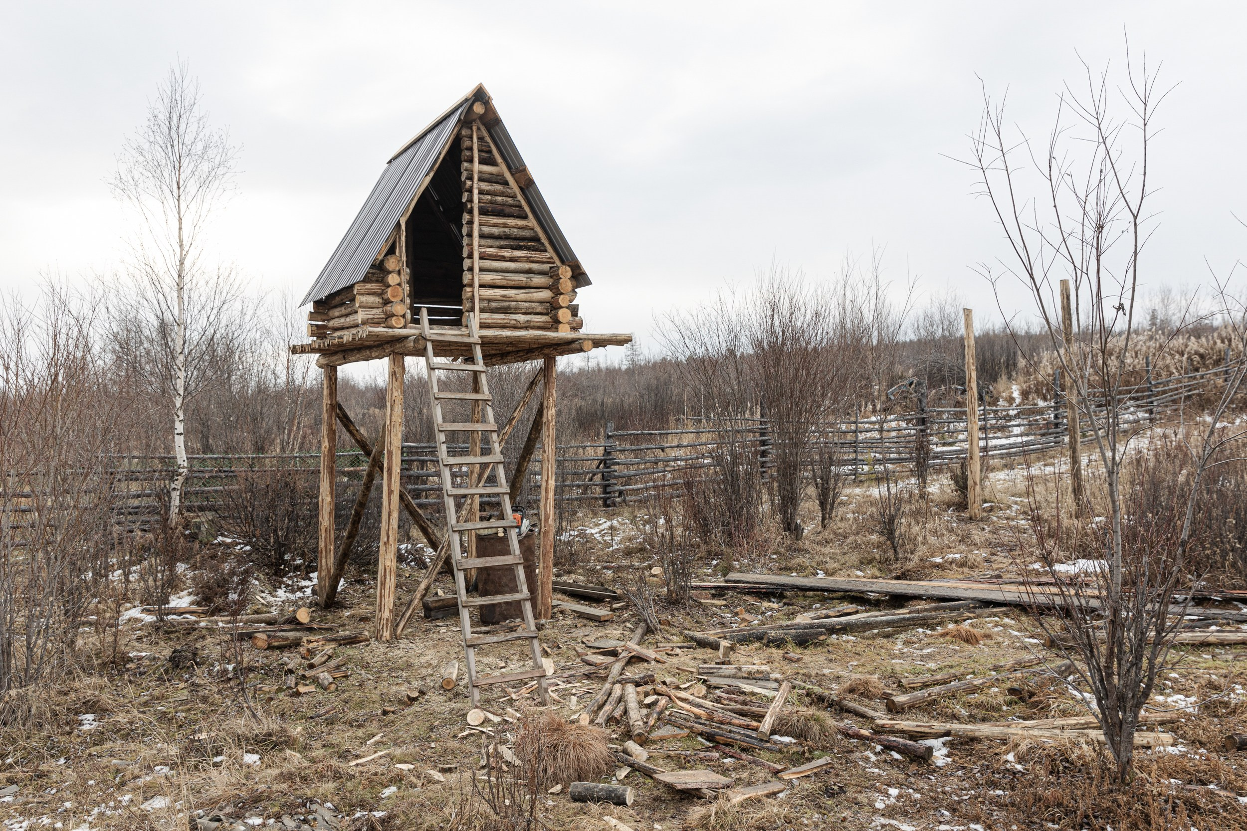 Сурена для Regnum. Юлия Невская режиссер и сценарист документального кино, документальный фотограф