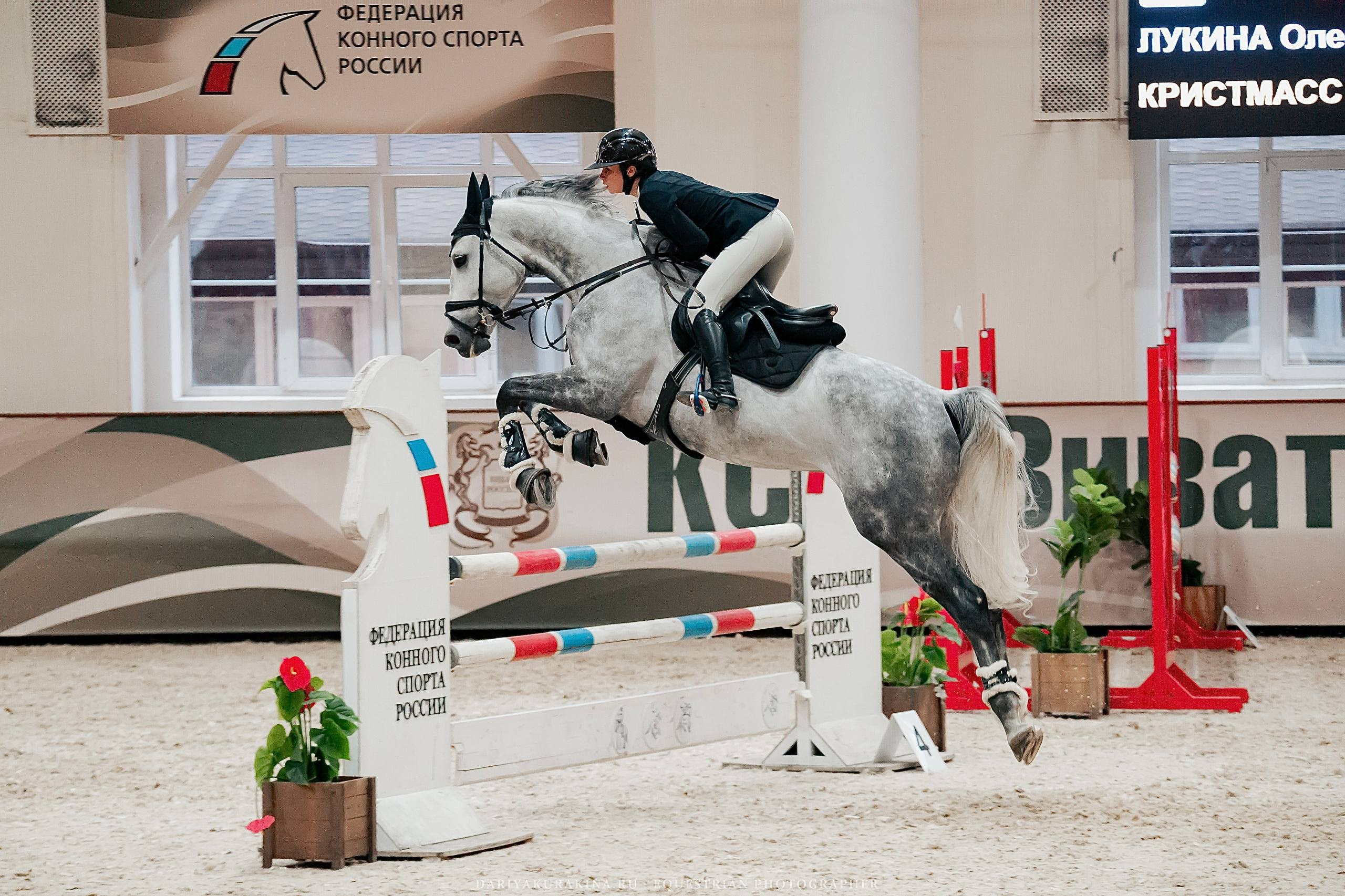 КУБОК ВУЗОВ. ФИНАЛ — КСК «ВИВАТ, РОССИЯ!». Куракина Дарья • Конный фотограф