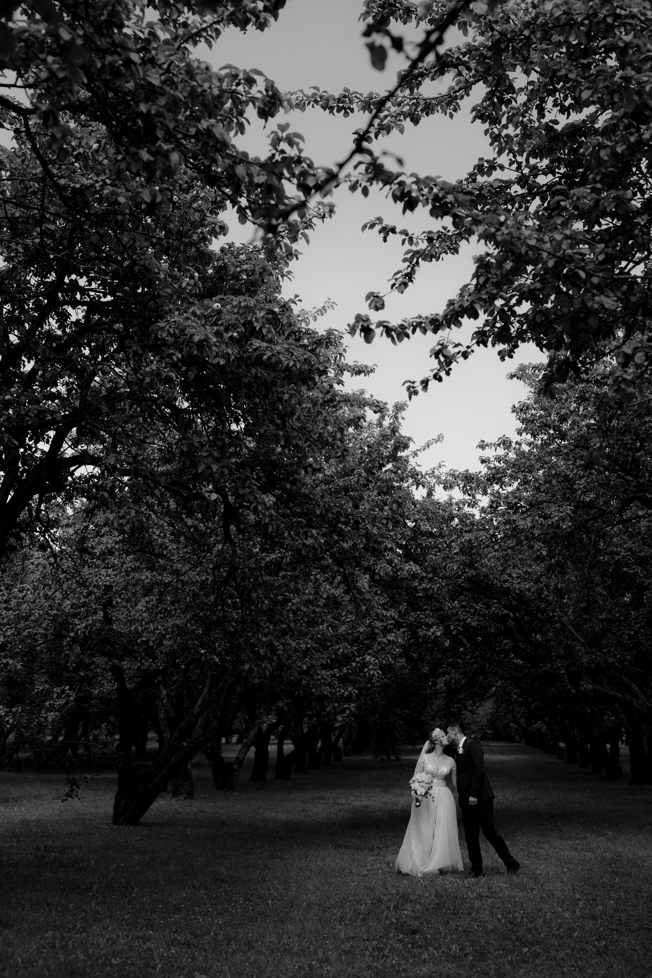 Свадьба Дмитрия и Екатерины. Фотограф Кольчугино/Владимир/Москва Елизавета Иода