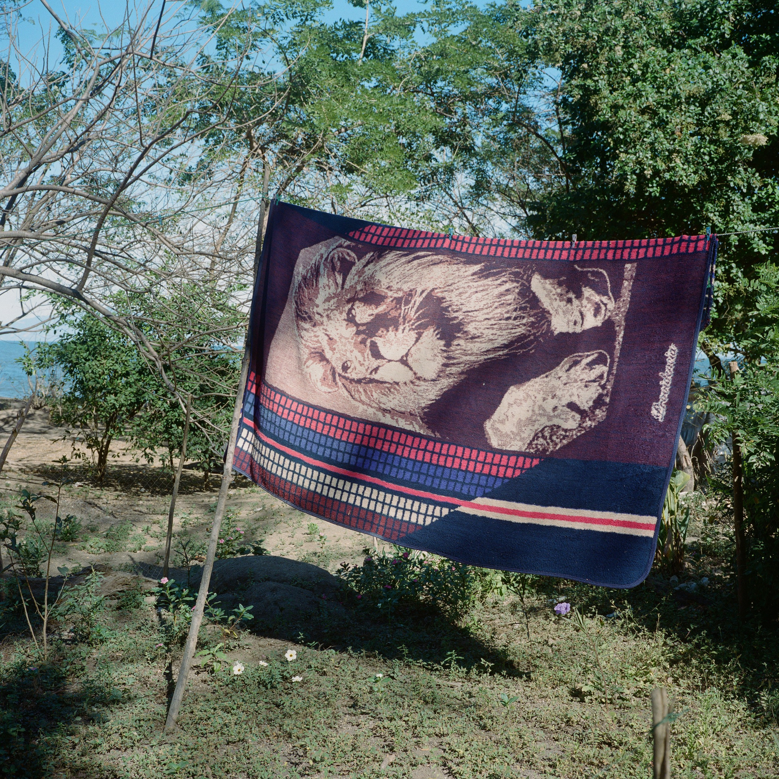 La Salvia. Полина Сойреф, портретный и документальный фотограф