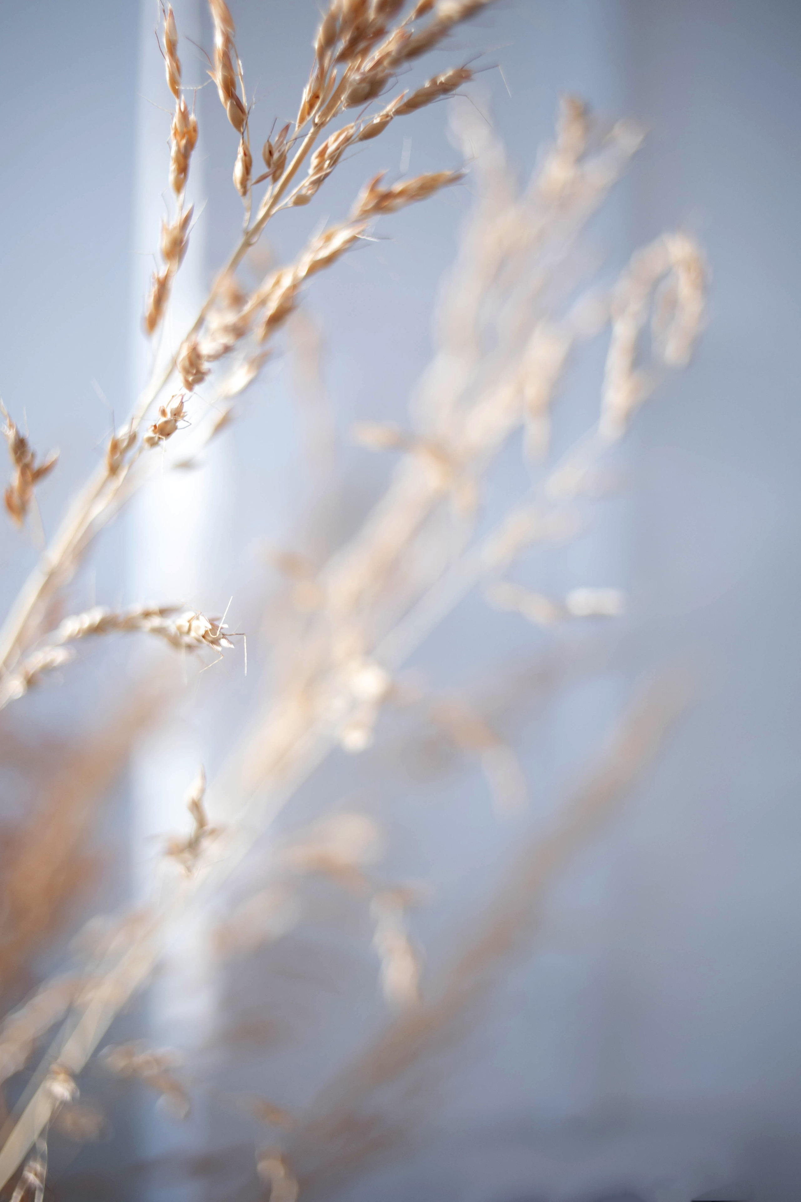 Готовая лента для Инстаграм. Косметолог. Фотограф в Краснодаре Евгения Михаевич