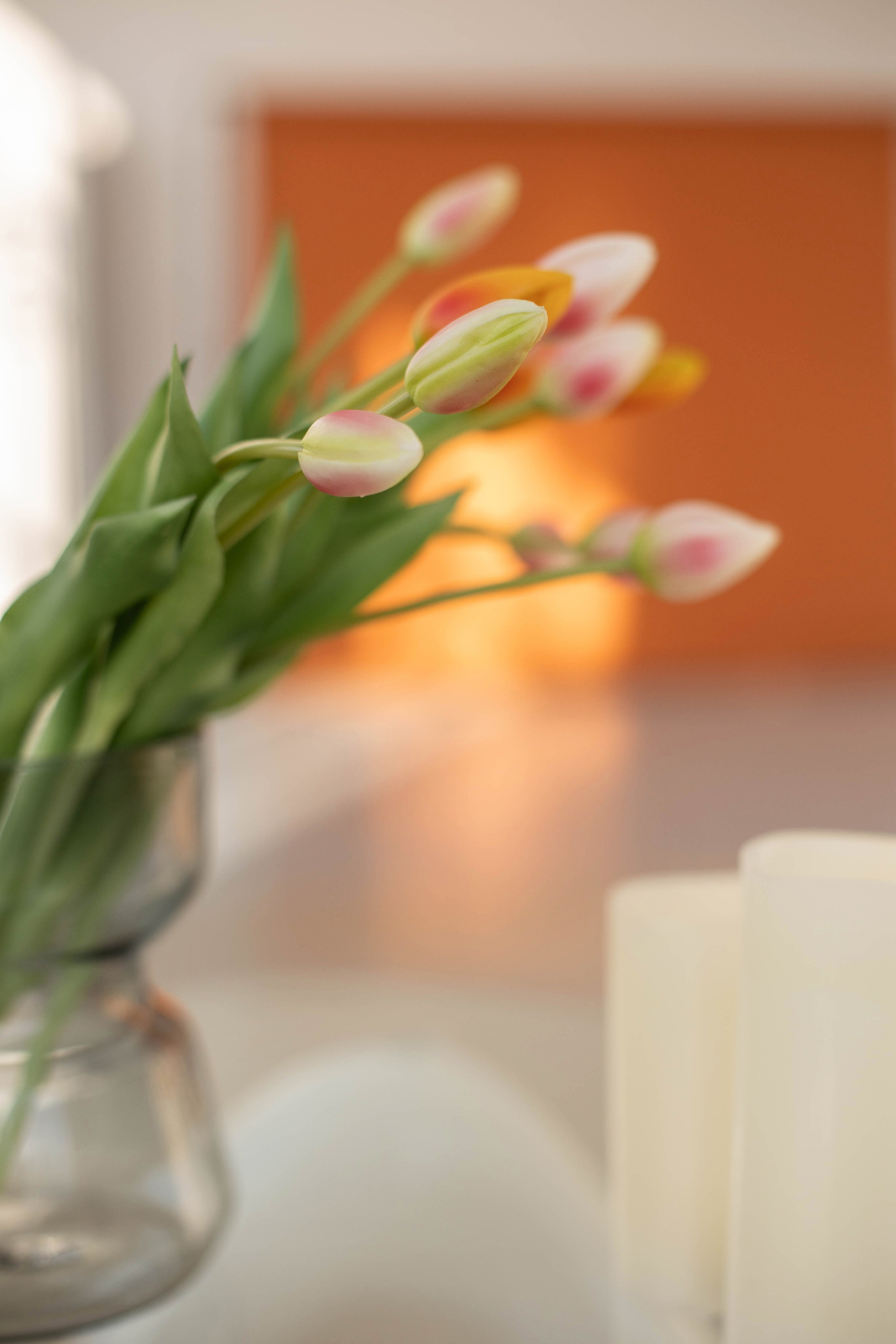 Готовая лента для Инстаграм. Косметолог. Фотограф в Краснодаре Евгения Михаевич