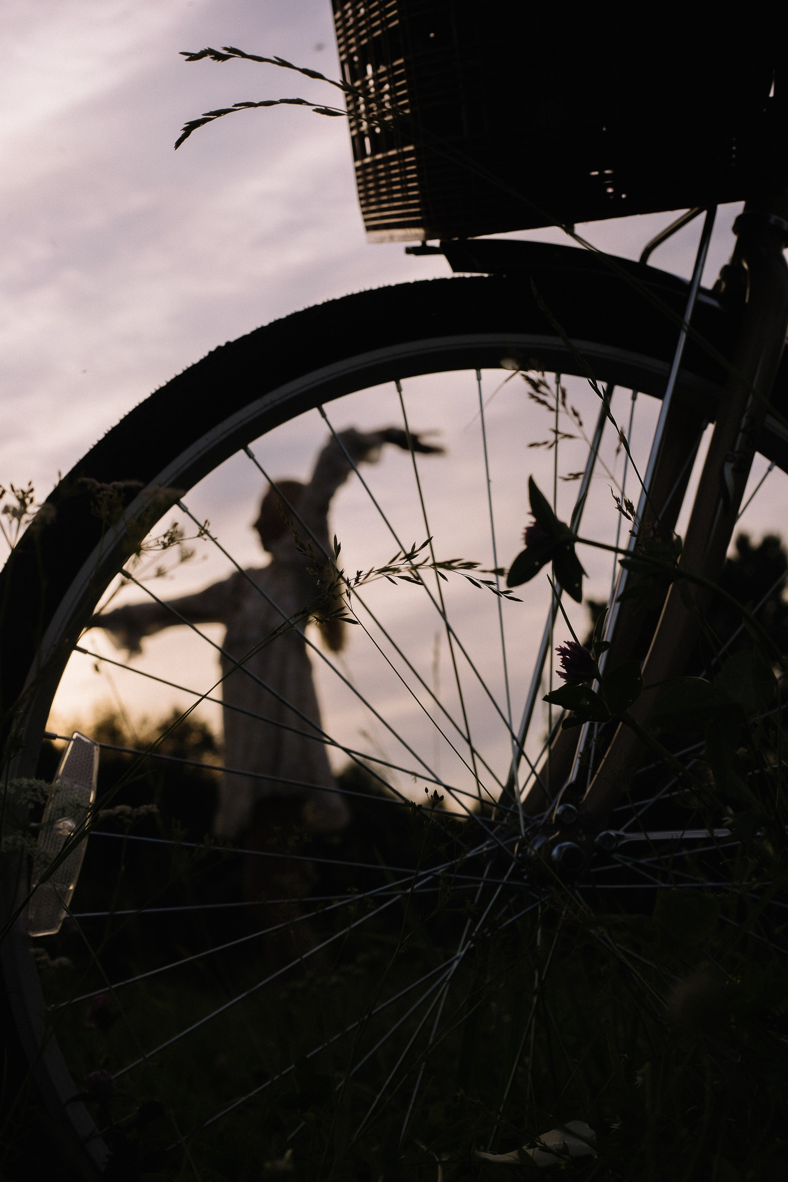 Велосипедная прогулка на закате. Семейный фотограф в Томске Максимова Екатерина