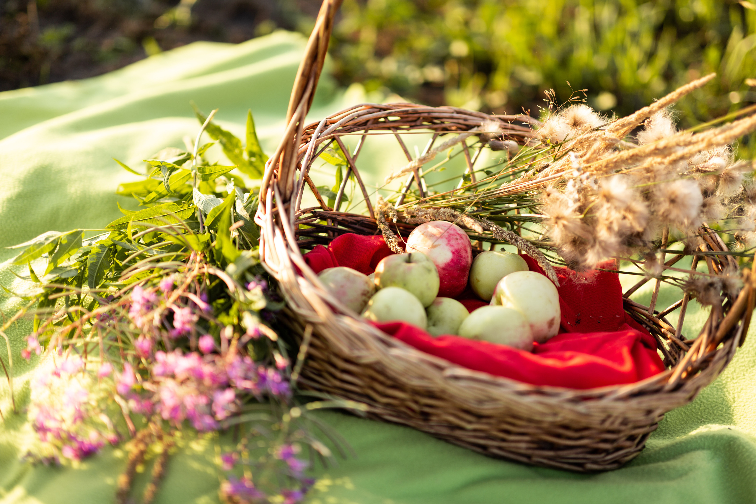 Фотопрогулки. Анастасия Царькова — фотограф∙ретушер в Санкт-Петербурге