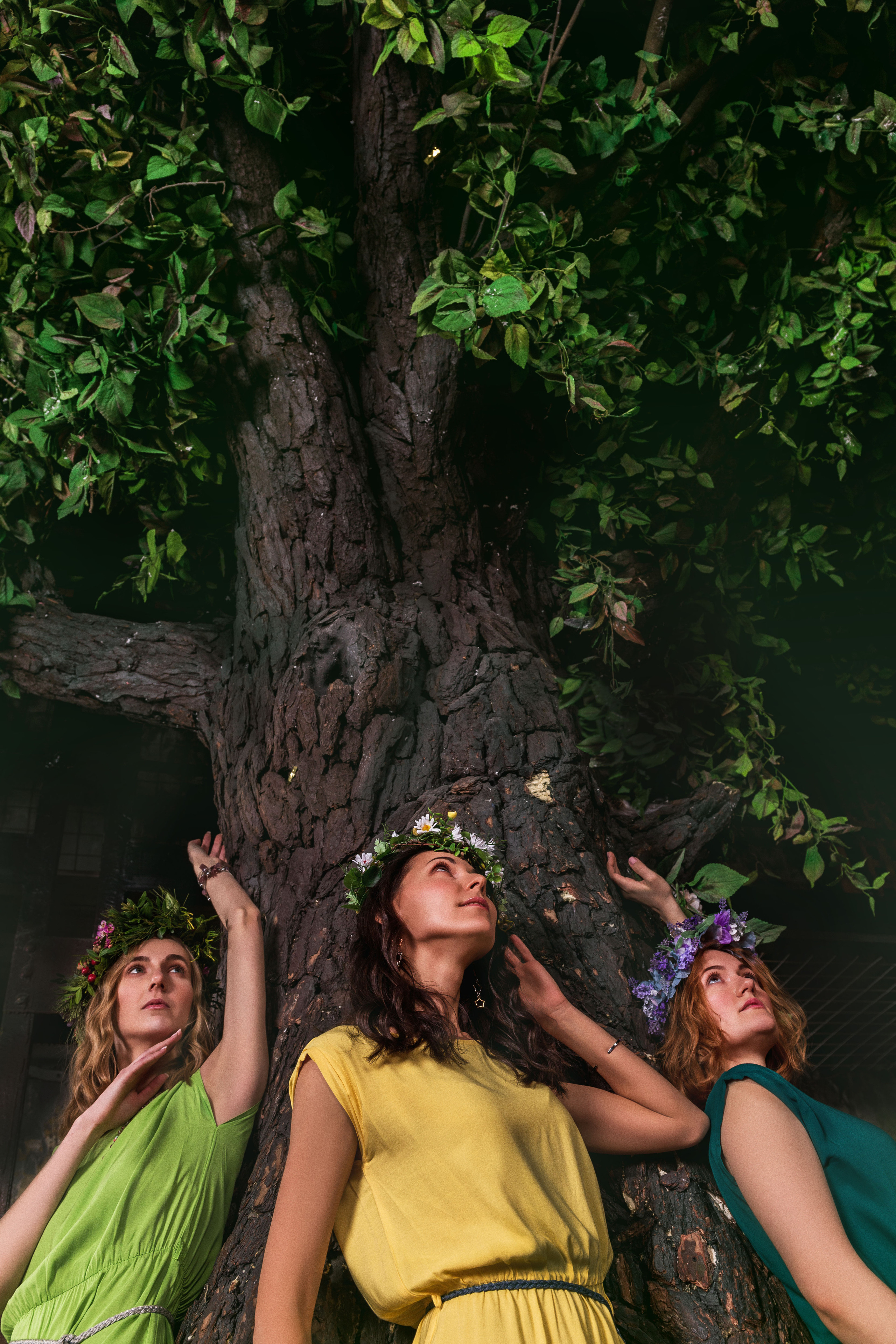 Фотопроекты. Анастасия Царькова — фотограф∙ретушер в Санкт-Петербурге