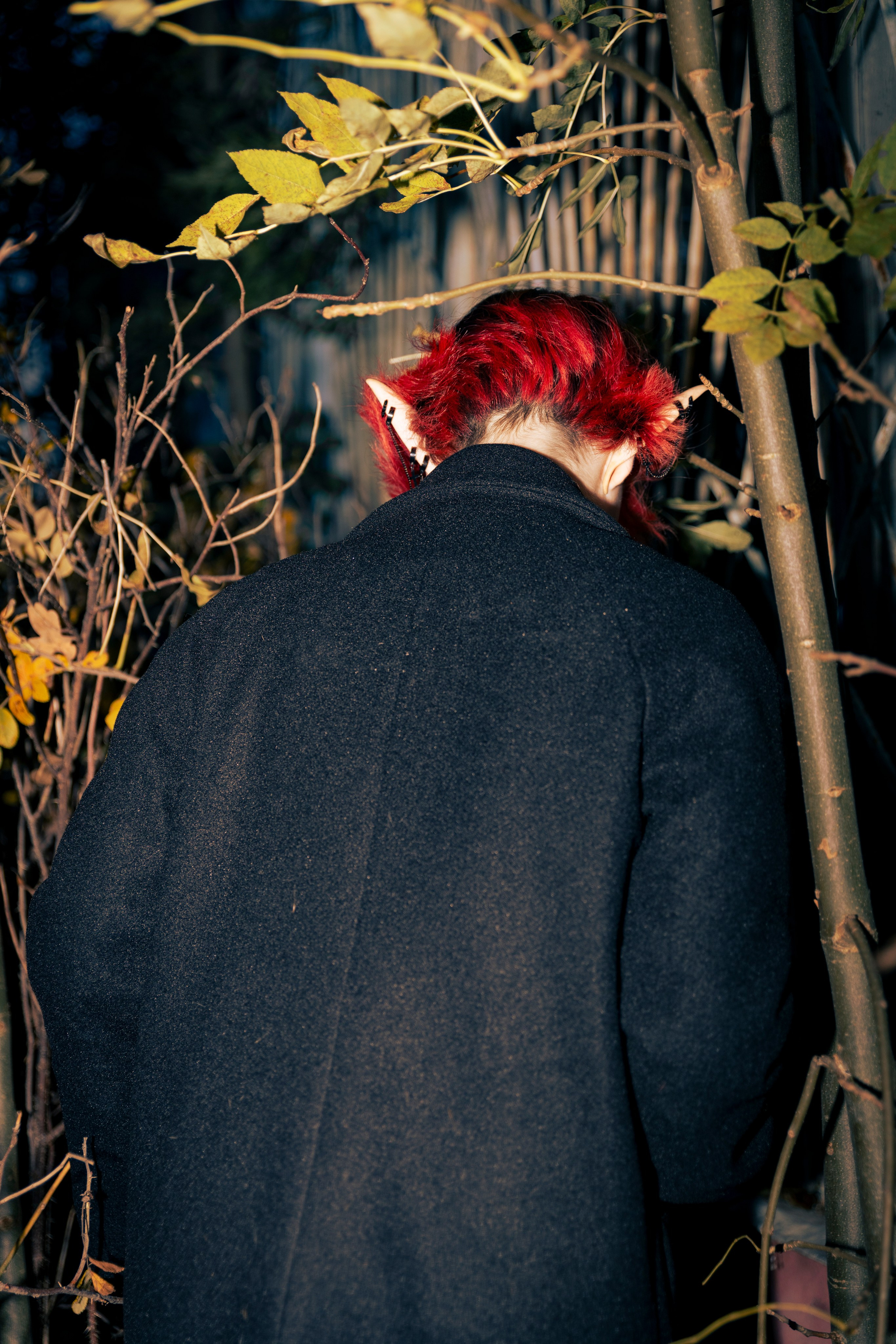 Настя Halloween. Фотограф Анастасия Горлач в Калининграде