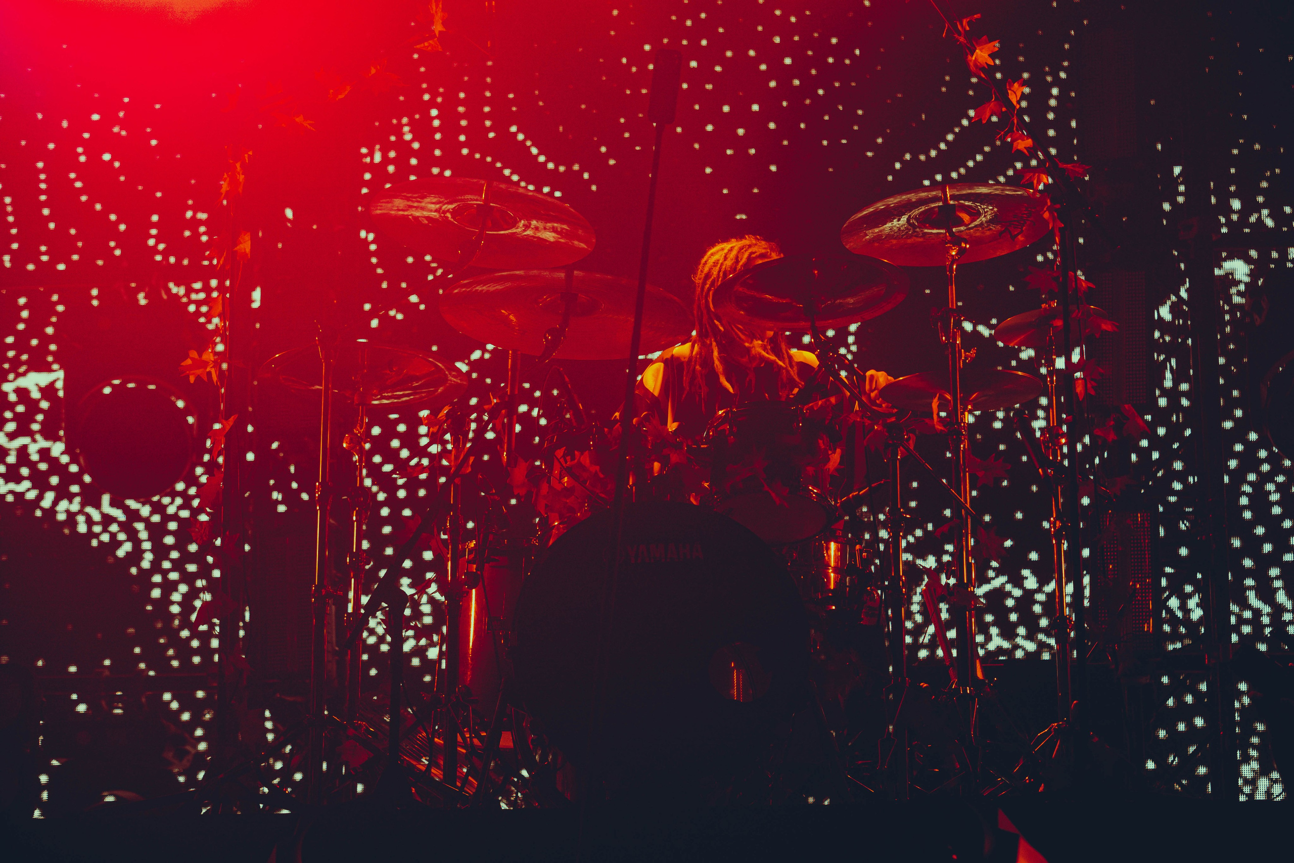 Stigmata 15.11.2025. Фотограф Дядя Сник