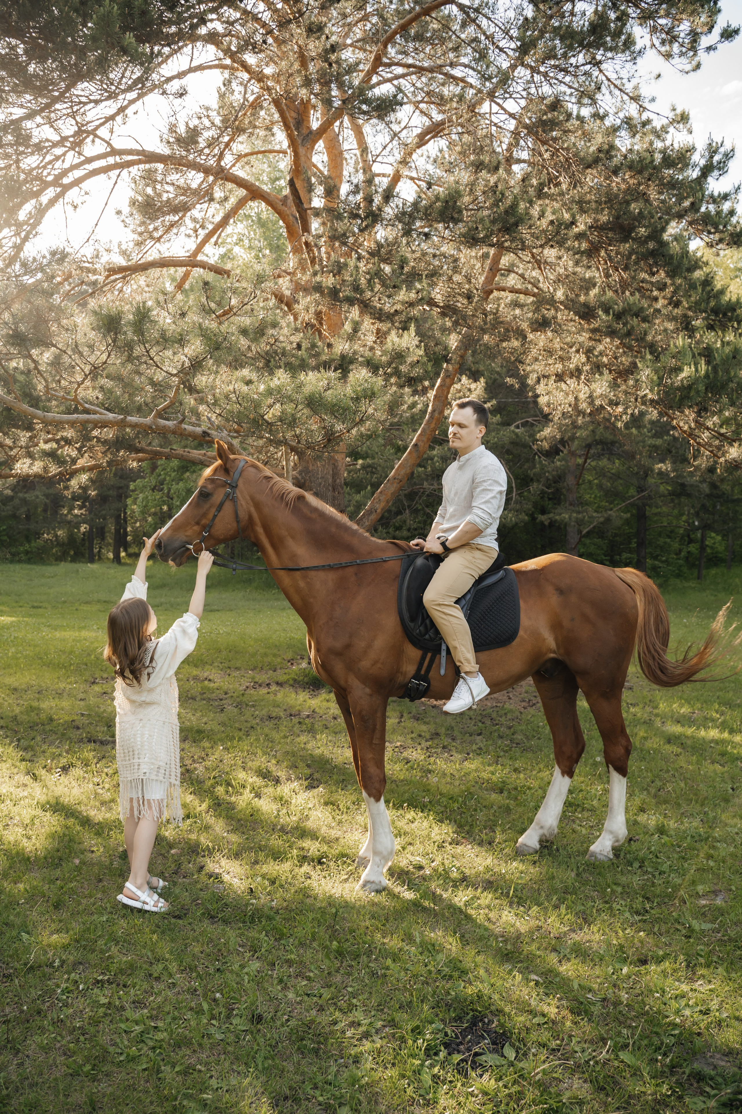 Семейная история с лошадьми. Главная