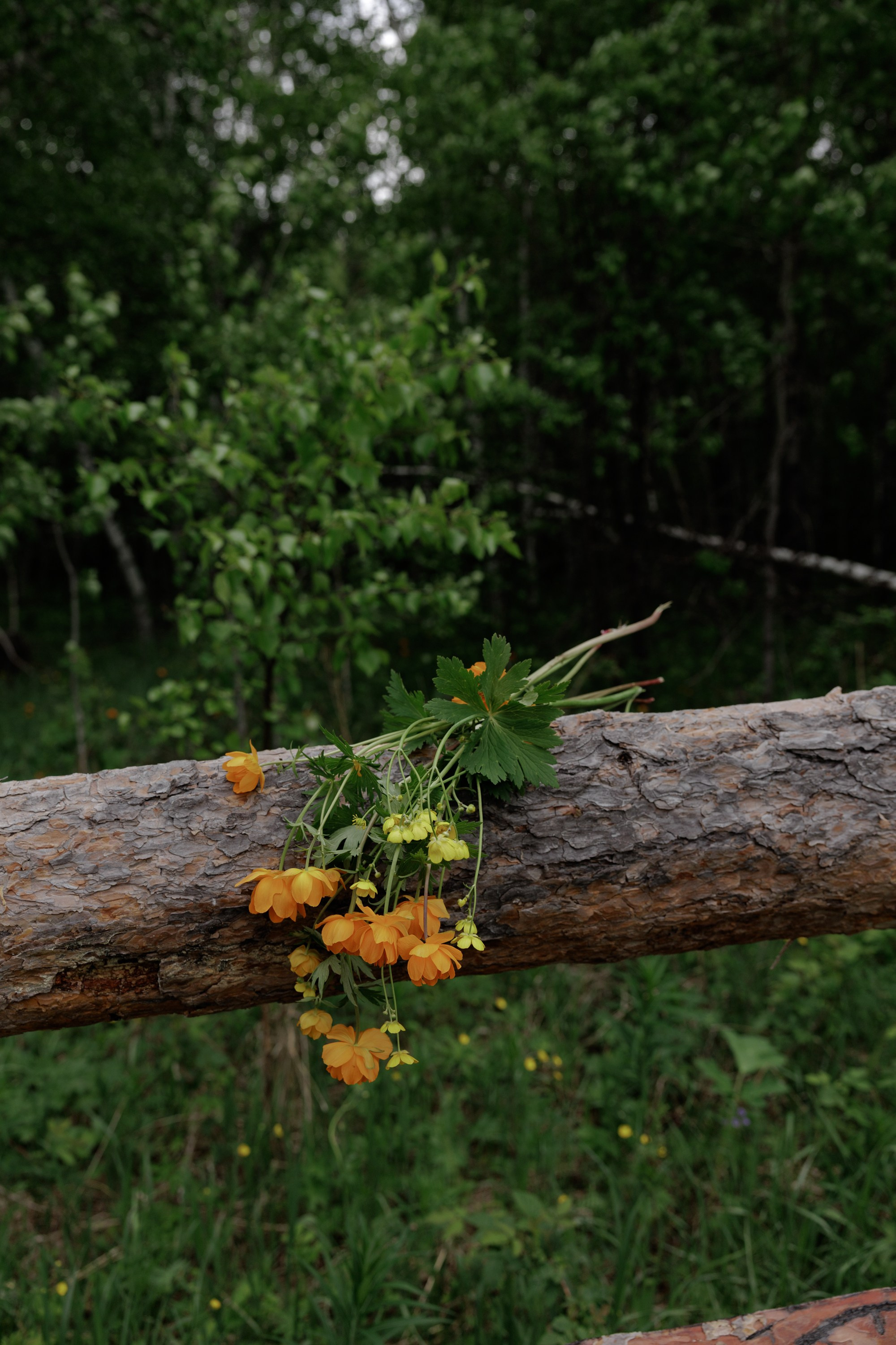 Ты, я и море. Свадебный фотограф