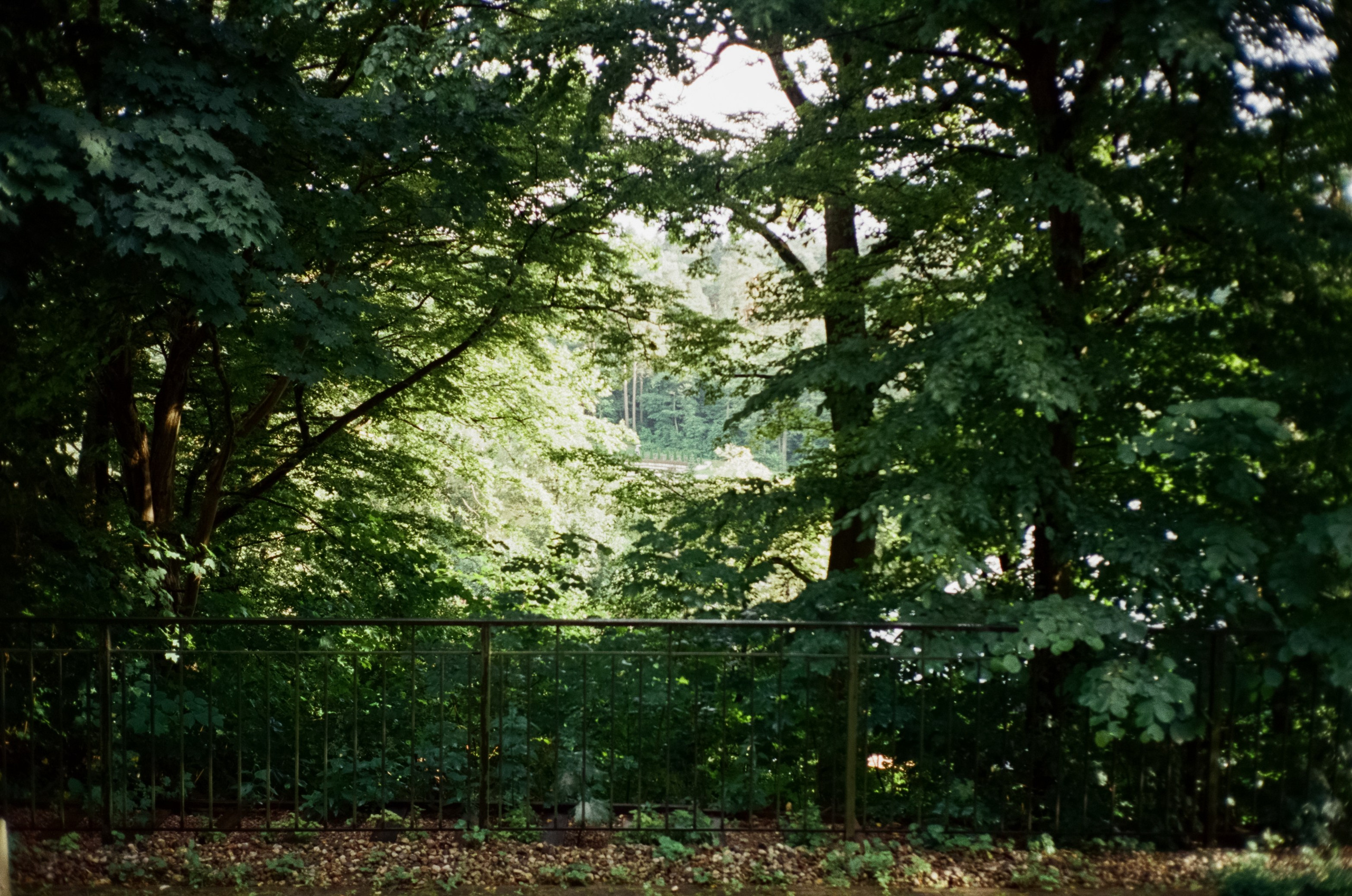 Остров Канта и Кафедральный Собор. Фотограф-документалист Мария Осокина