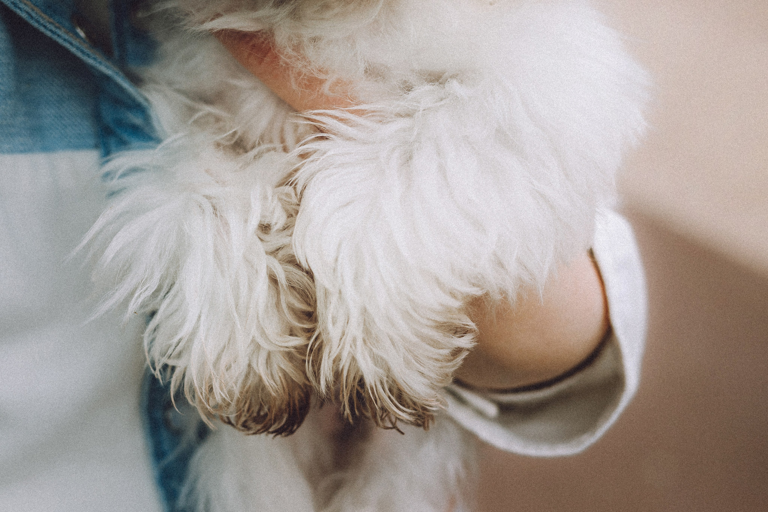 Настя и Гоша