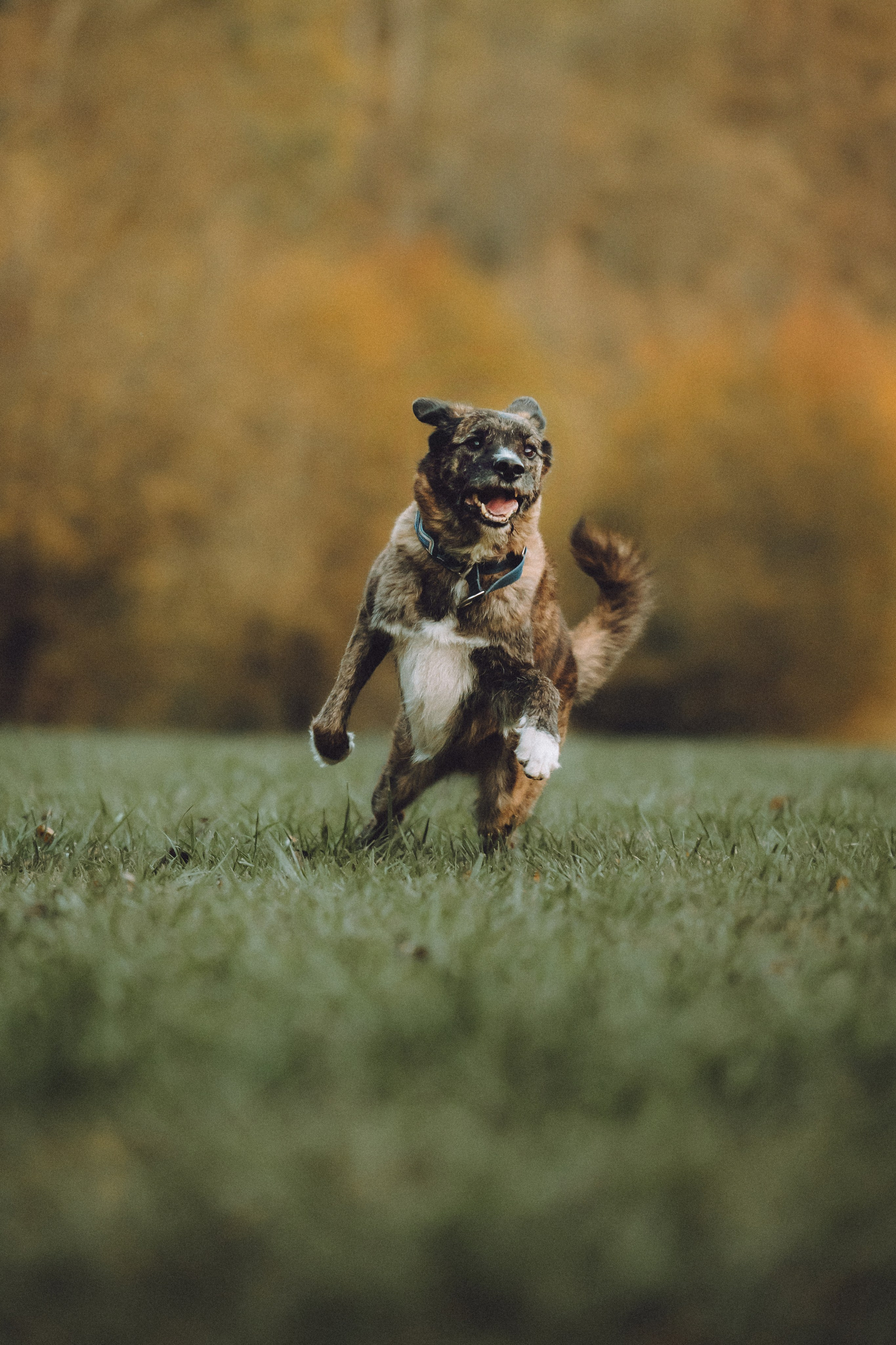 Рик, Джек и их семья