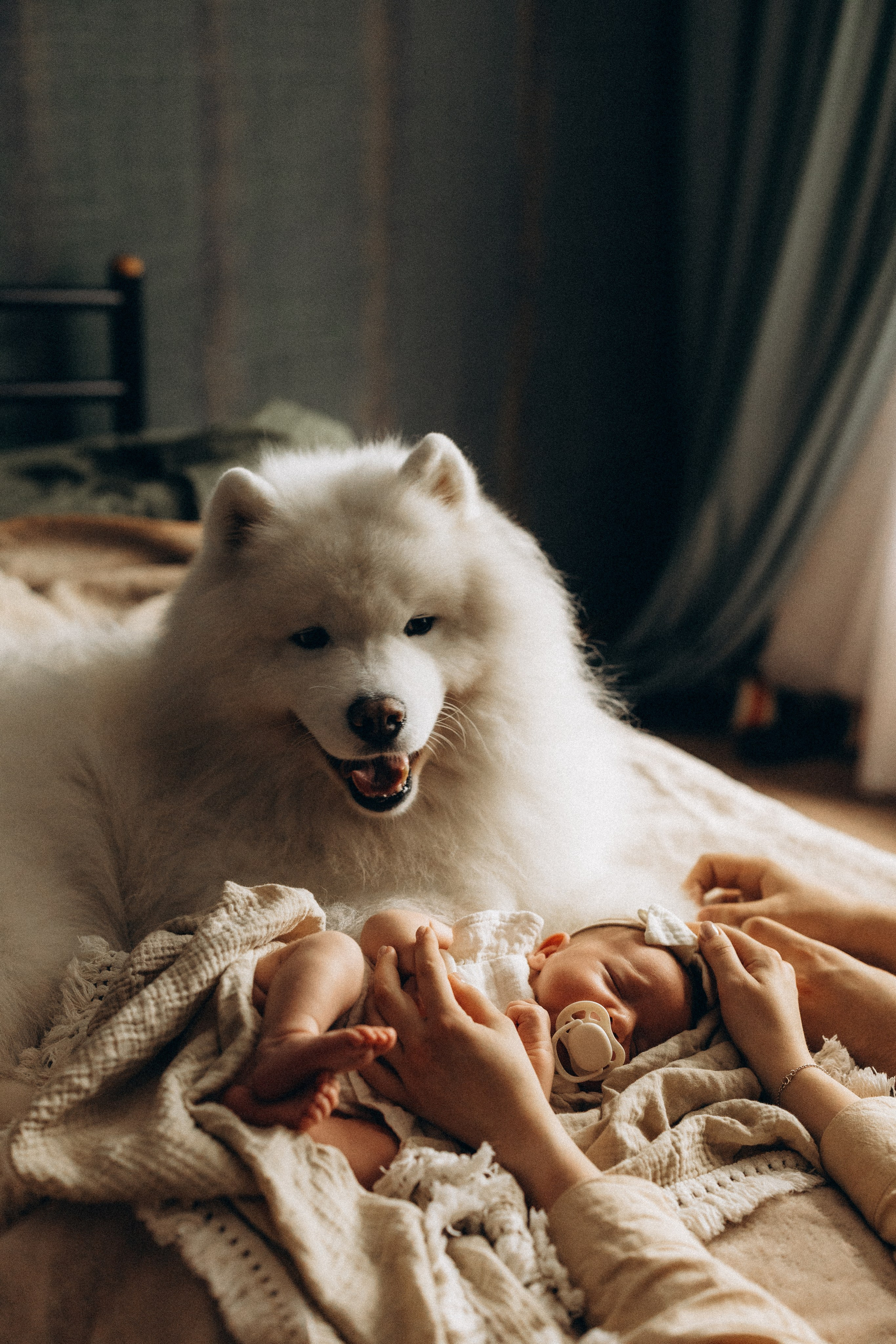 Василиса. Евгения Пелипас