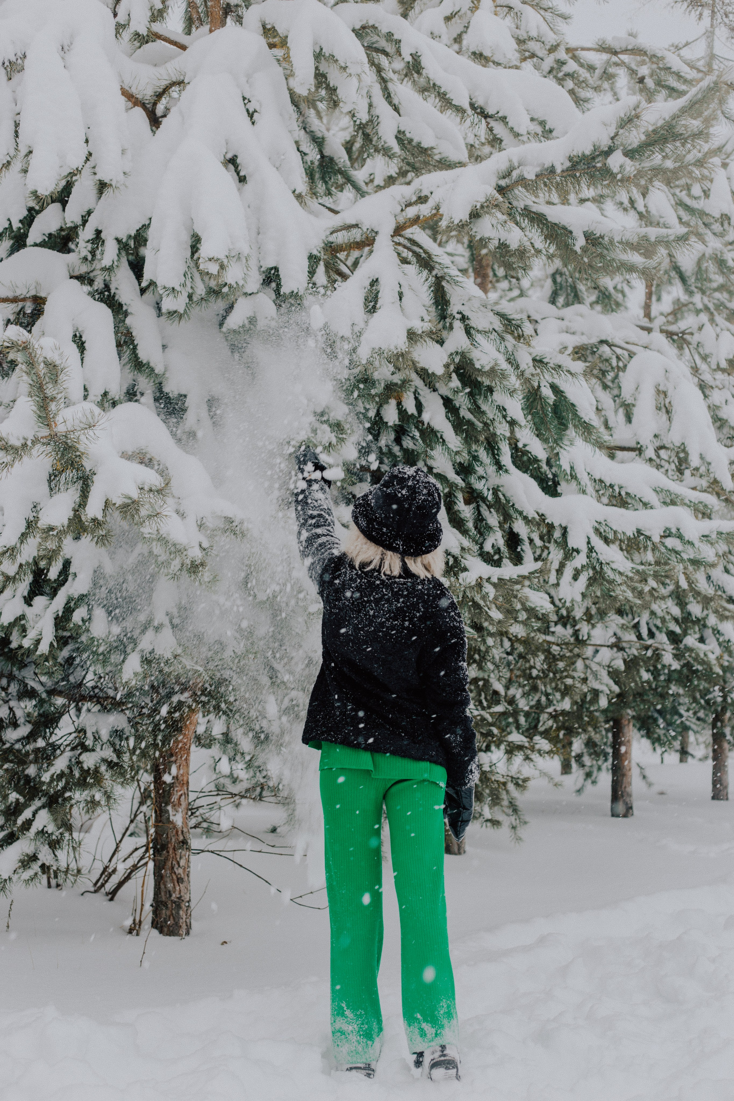 Winter. «A pet». Фотограф Москва / Балашиха
